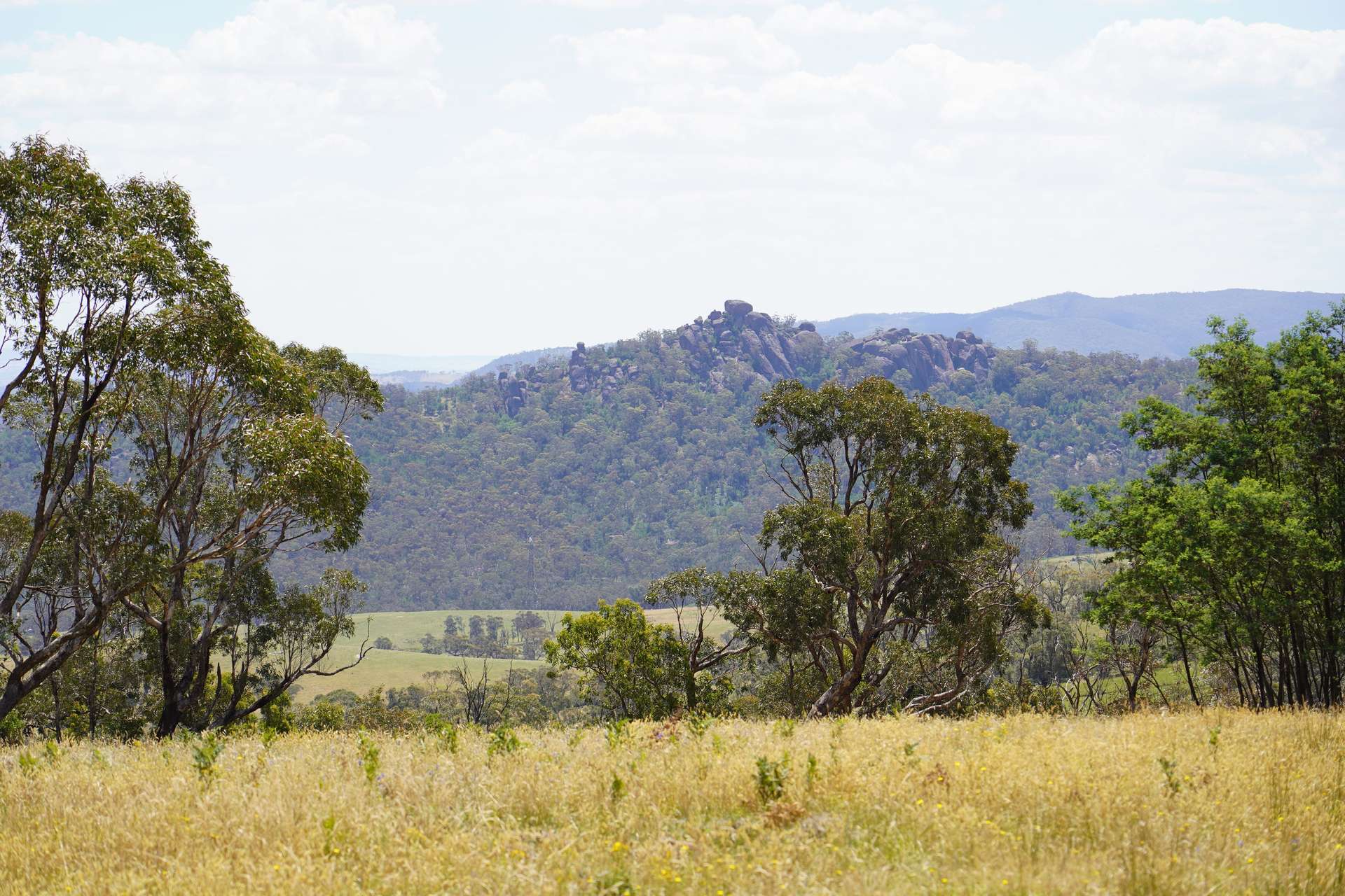 Lot 2 - 410 Honeysuckle Falls Road, Tarana For Sale by Farmbuy.com - image 2