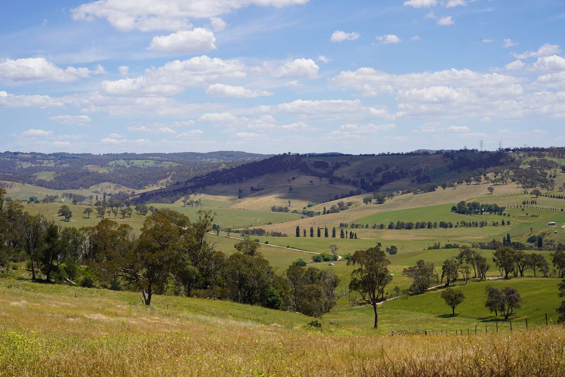 Lot 2 - 410 Honeysuckle Falls Road, Tarana For Sale by Farmbuy.com - image 3