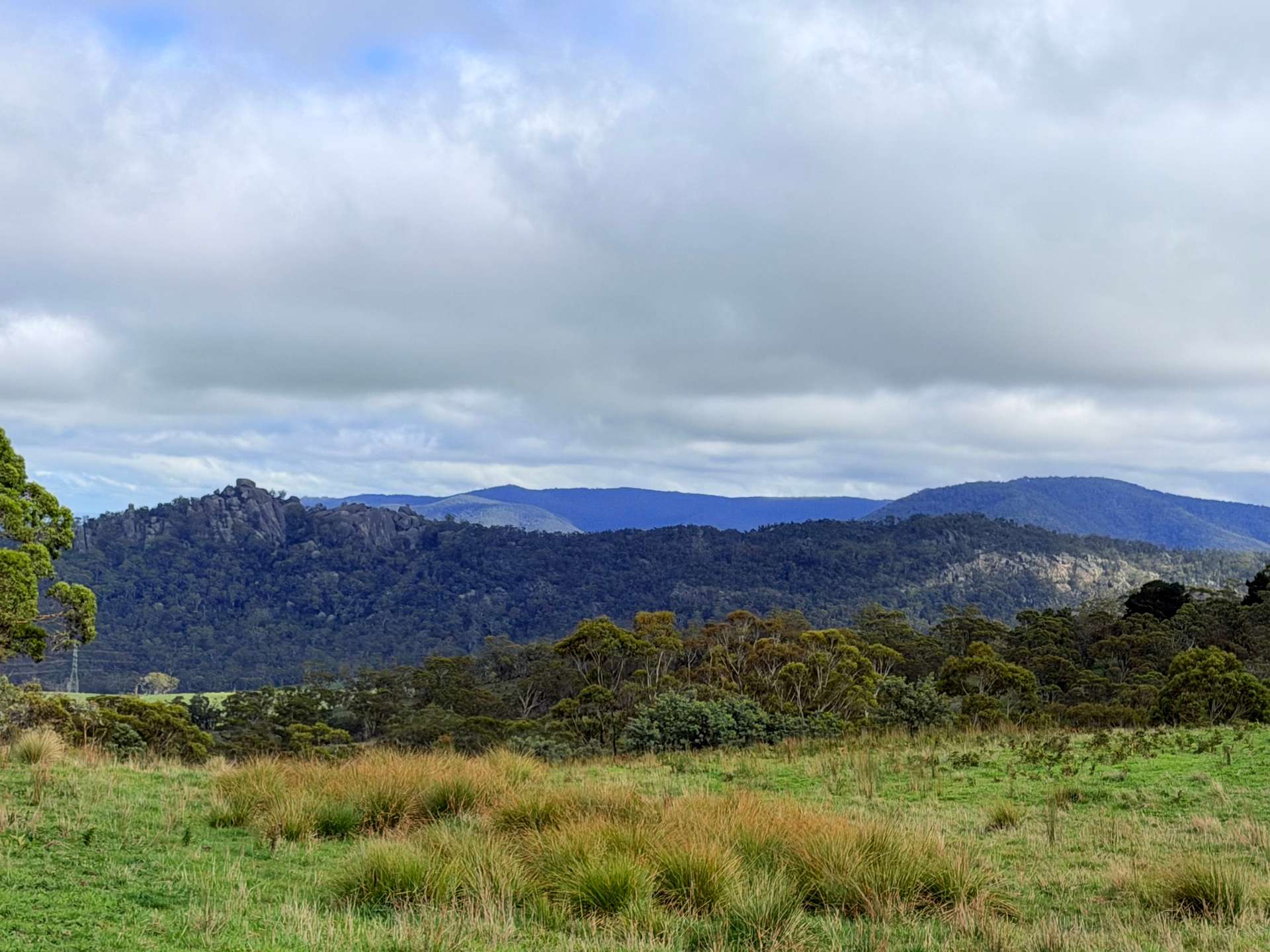 Lot 2 - 410 Honeysuckle Falls Road, Tarana For Sale by Farmbuy.com - image 17