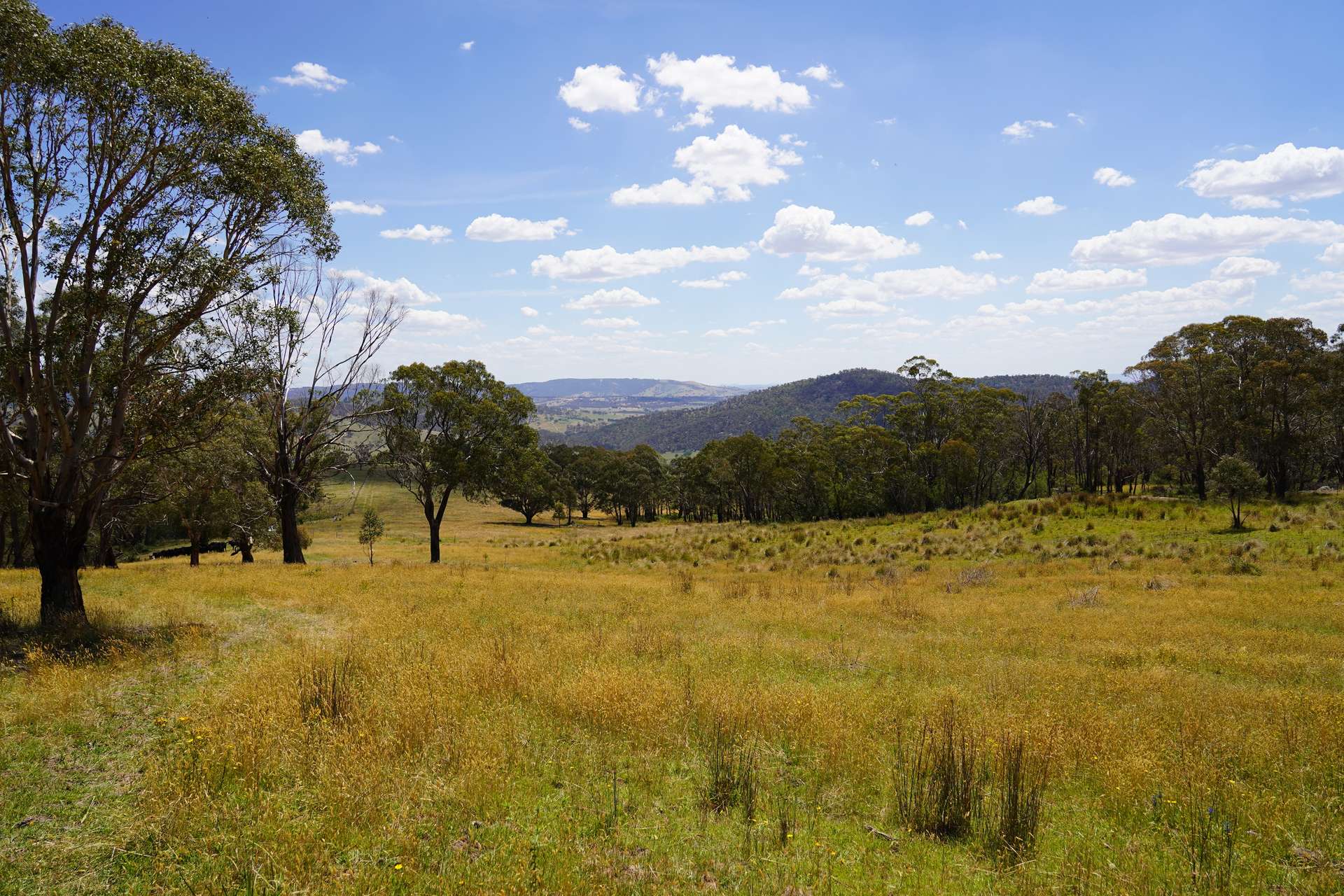 Lot 2 - 410 Honeysuckle Falls Road, Tarana For Sale by Farmbuy.com - image 11