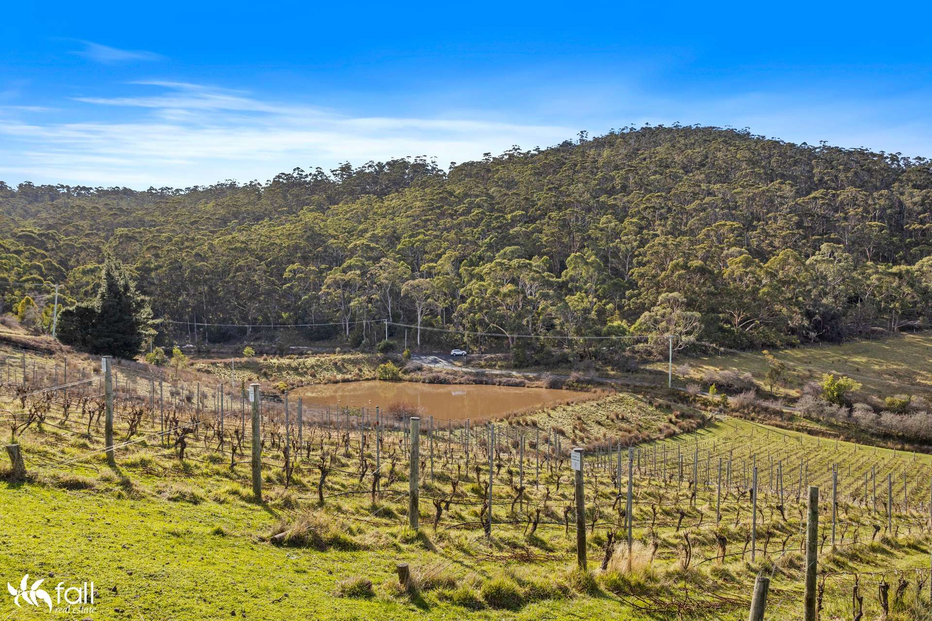 441 Tinderbox Road, Tinderbox For Sale by Farmbuy.com - image 19