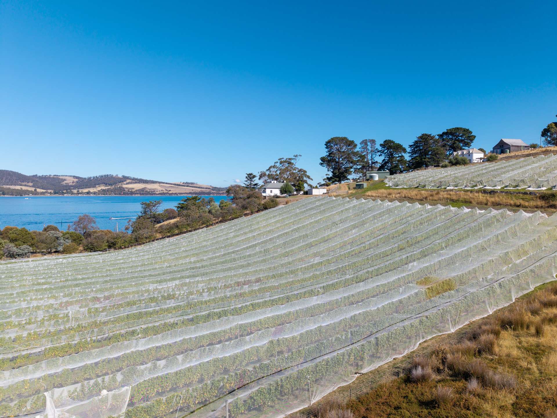441 Tinderbox Road, Tinderbox For Sale by Farmbuy.com - image 21