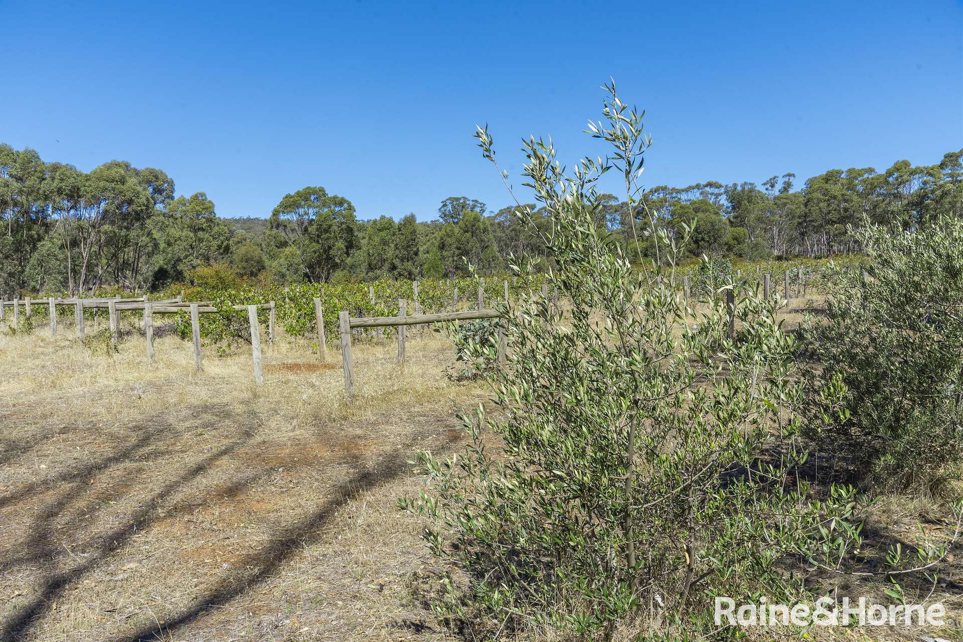 1000 Northern Highway, Ladys Pass For Sale by Farmbuy.com - image 28
