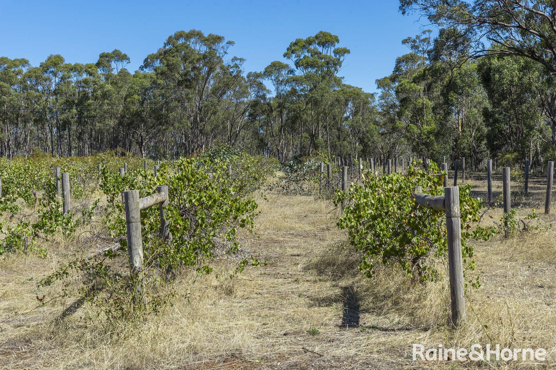 1000 Northern Highway, Ladys Pass For Sale by Farmbuy.com - image 29