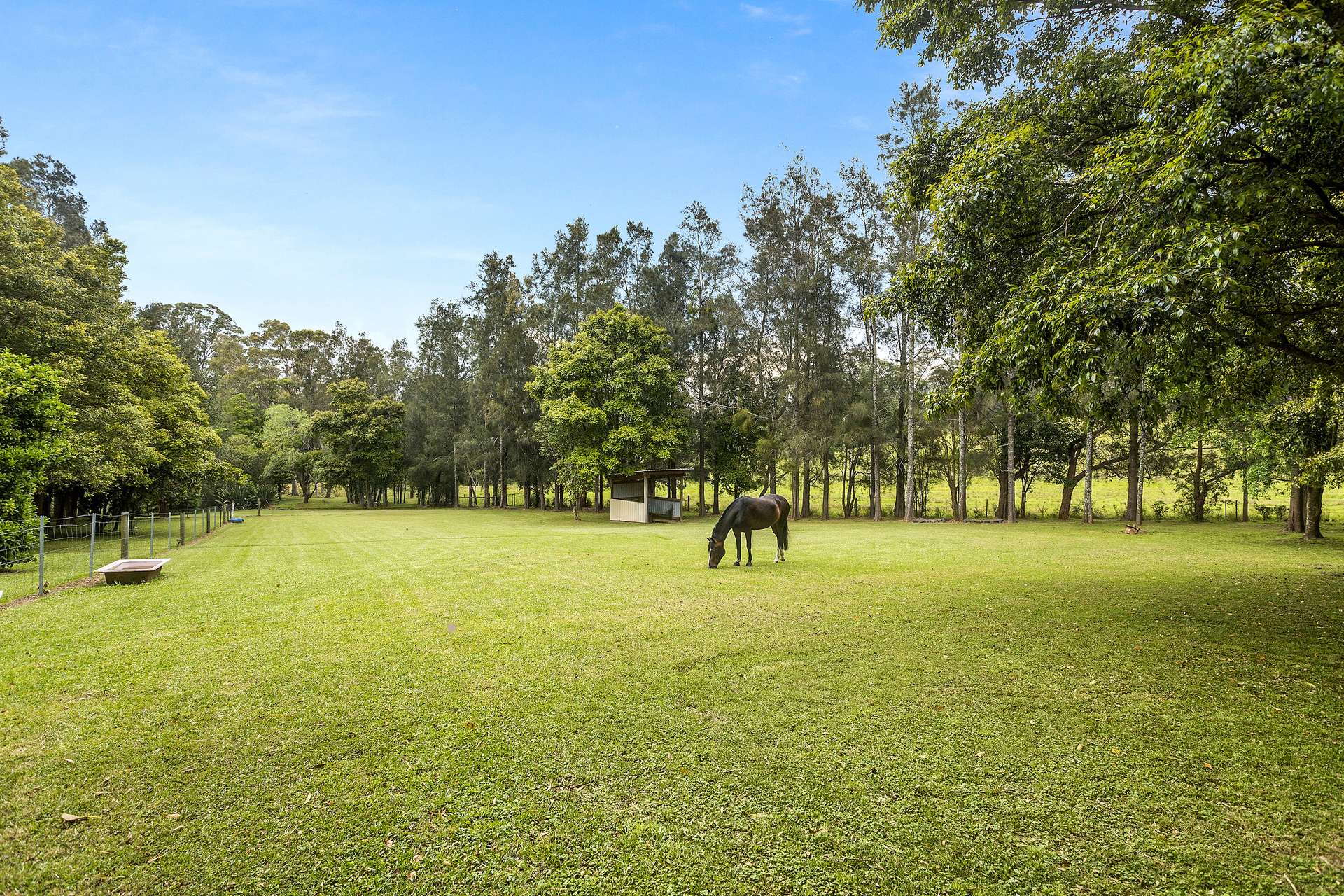 105b Croziers Road, Jaspers Brush For Sale by Farmbuy.com - image 6