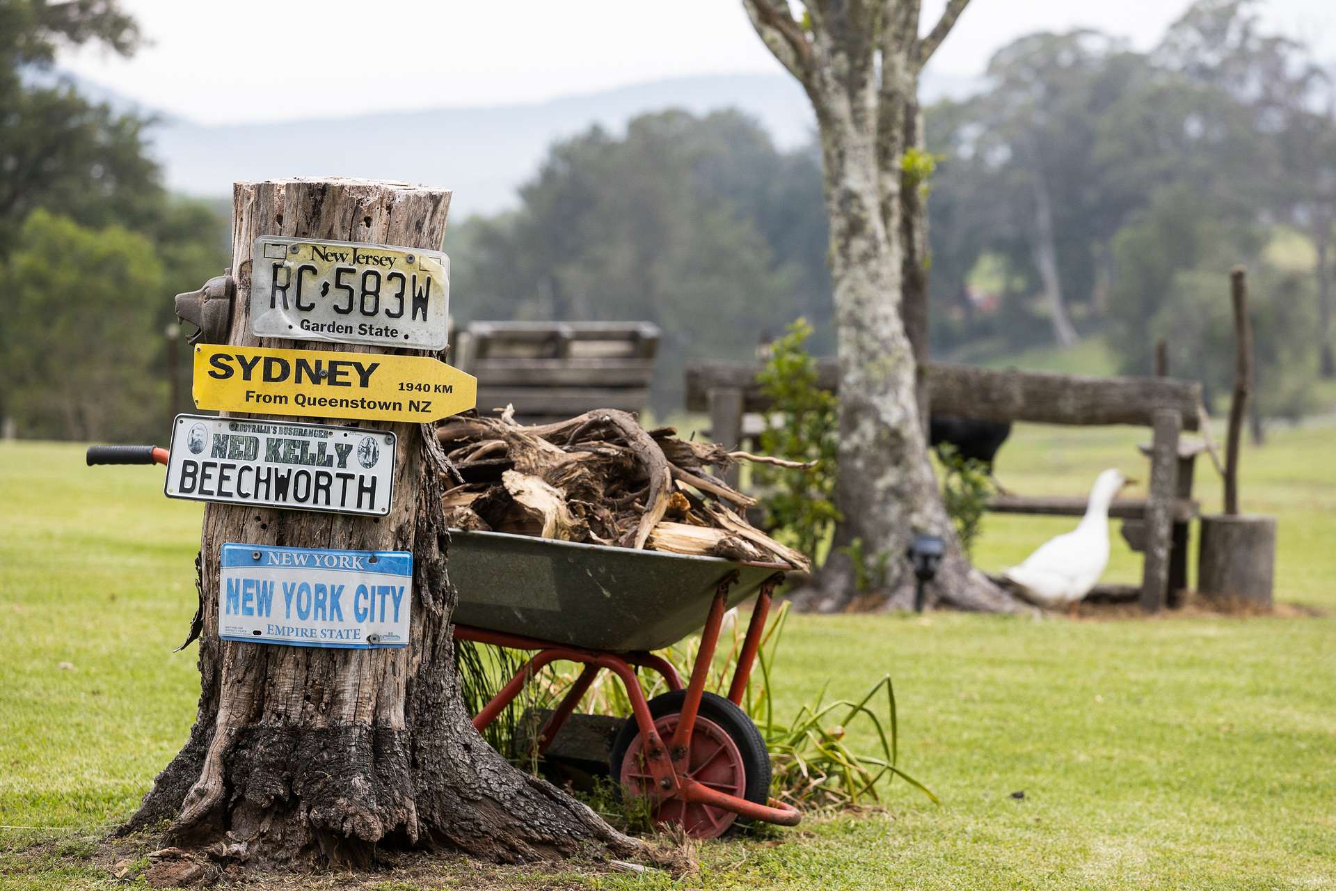 105b Croziers Road, Jaspers Brush For Sale by Farmbuy.com - image 22
