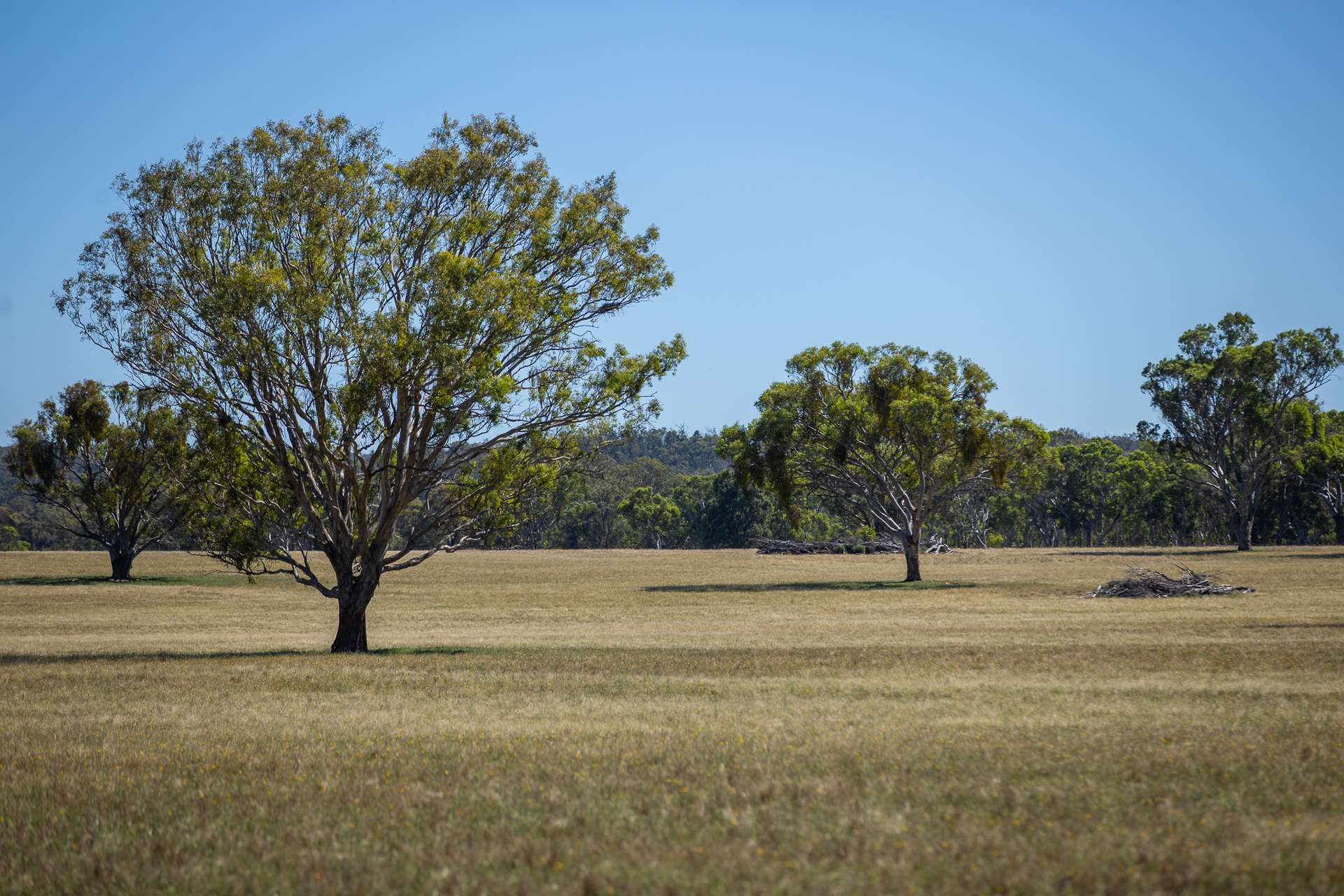 Inverell For Sale by Farmbuy.com - image 31