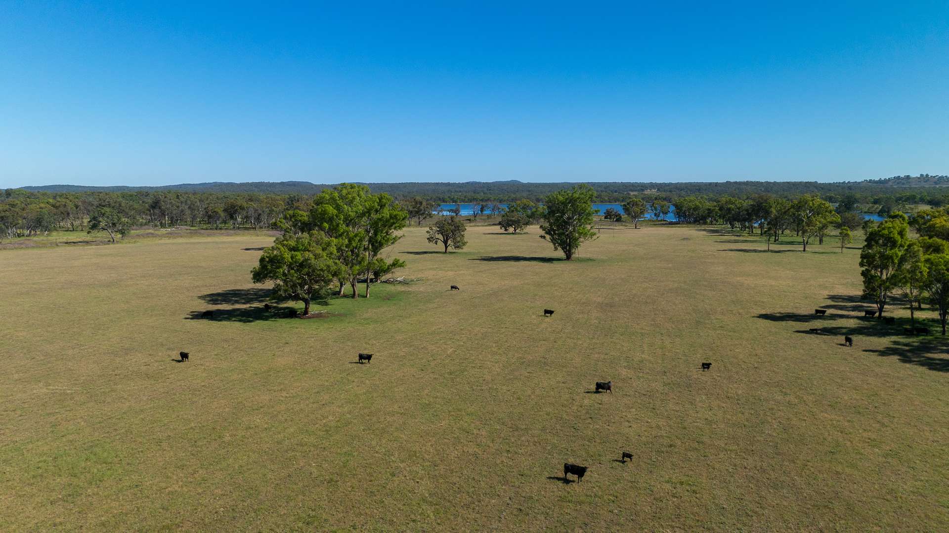 Inverell For Sale by Farmbuy.com - image 2