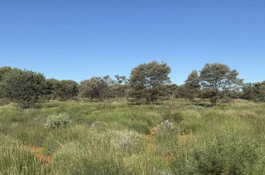 Wongawol, Wiluna For Sale by Farmbuy.com - image 14