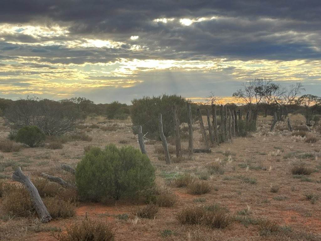 Wongawol, Wiluna For Sale by Farmbuy.com - image 32