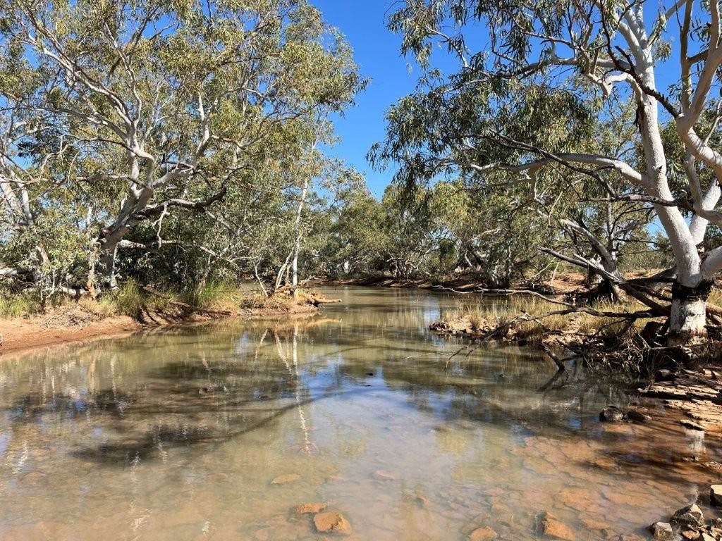 Wongawol, Wiluna For Sale by Farmbuy.com - image 30