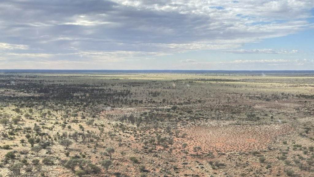 Wongawol, Wiluna For Sale by Farmbuy.com - image 6