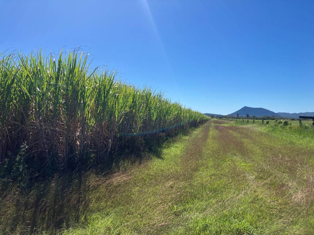 Glen Isla QLD 4800