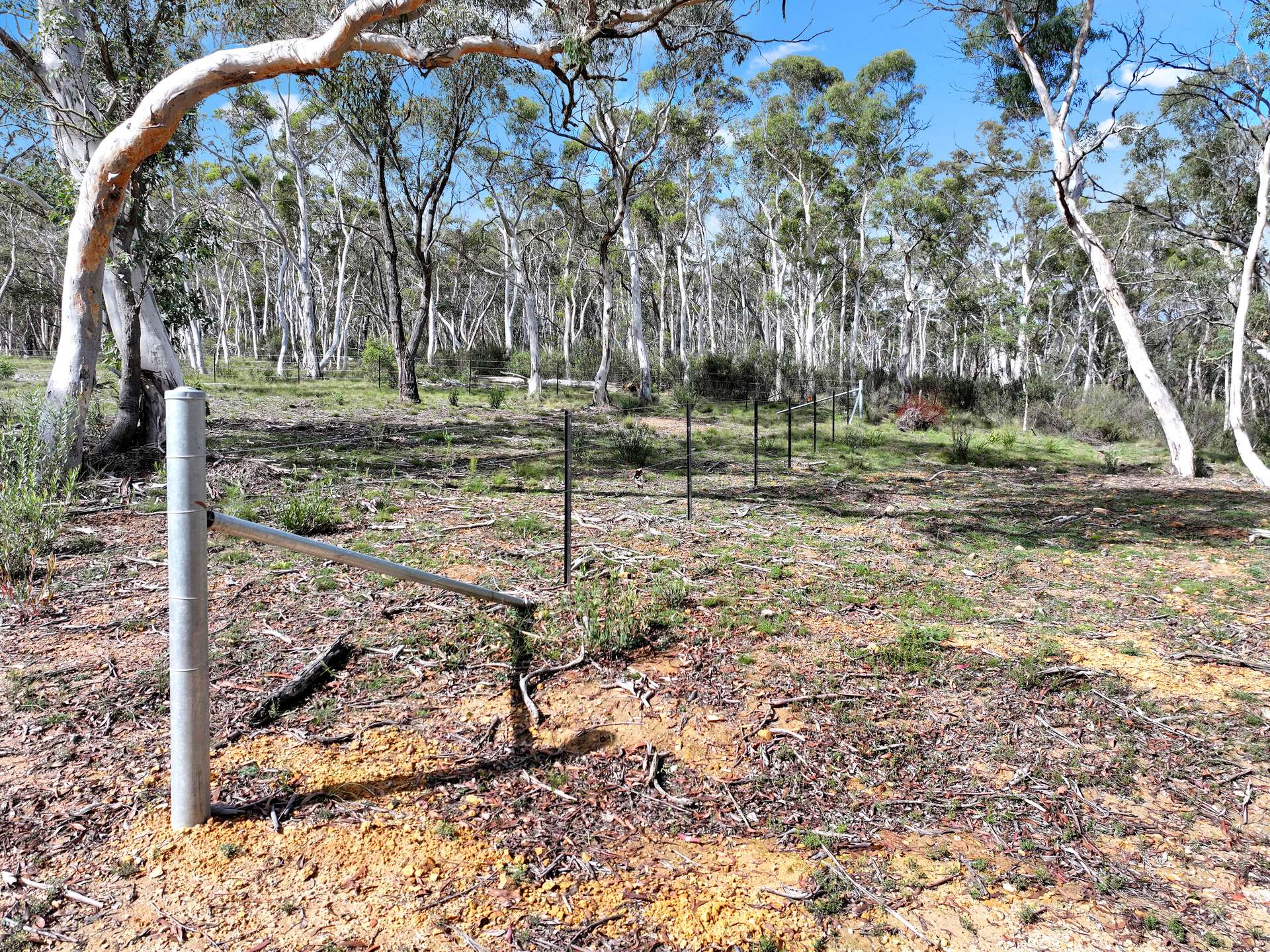 12 Half Moon Road, Braidwood Sold by Farmbuy.com - image 6