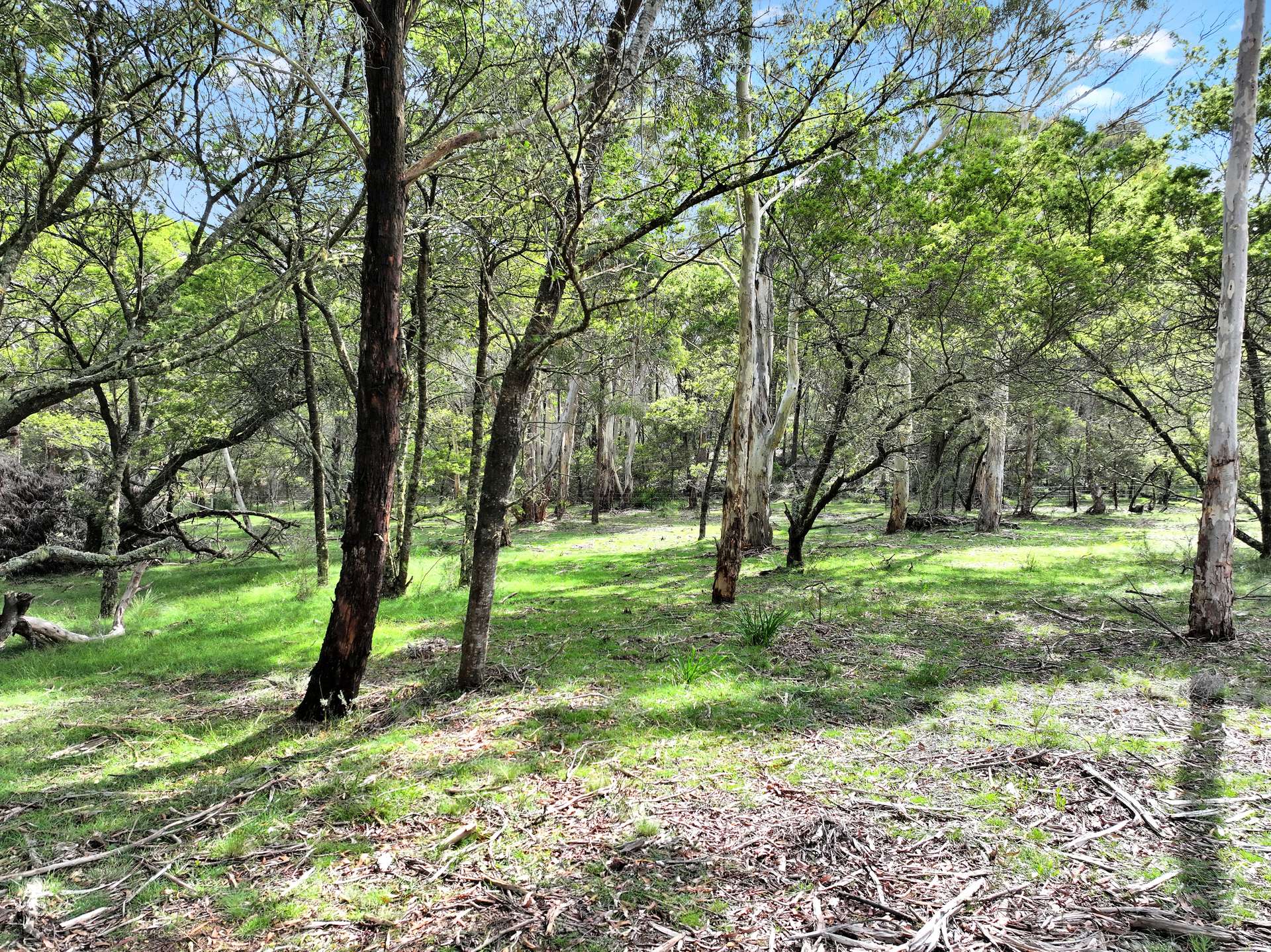 12 Half Moon Road, Braidwood Sold by Farmbuy.com - image 11