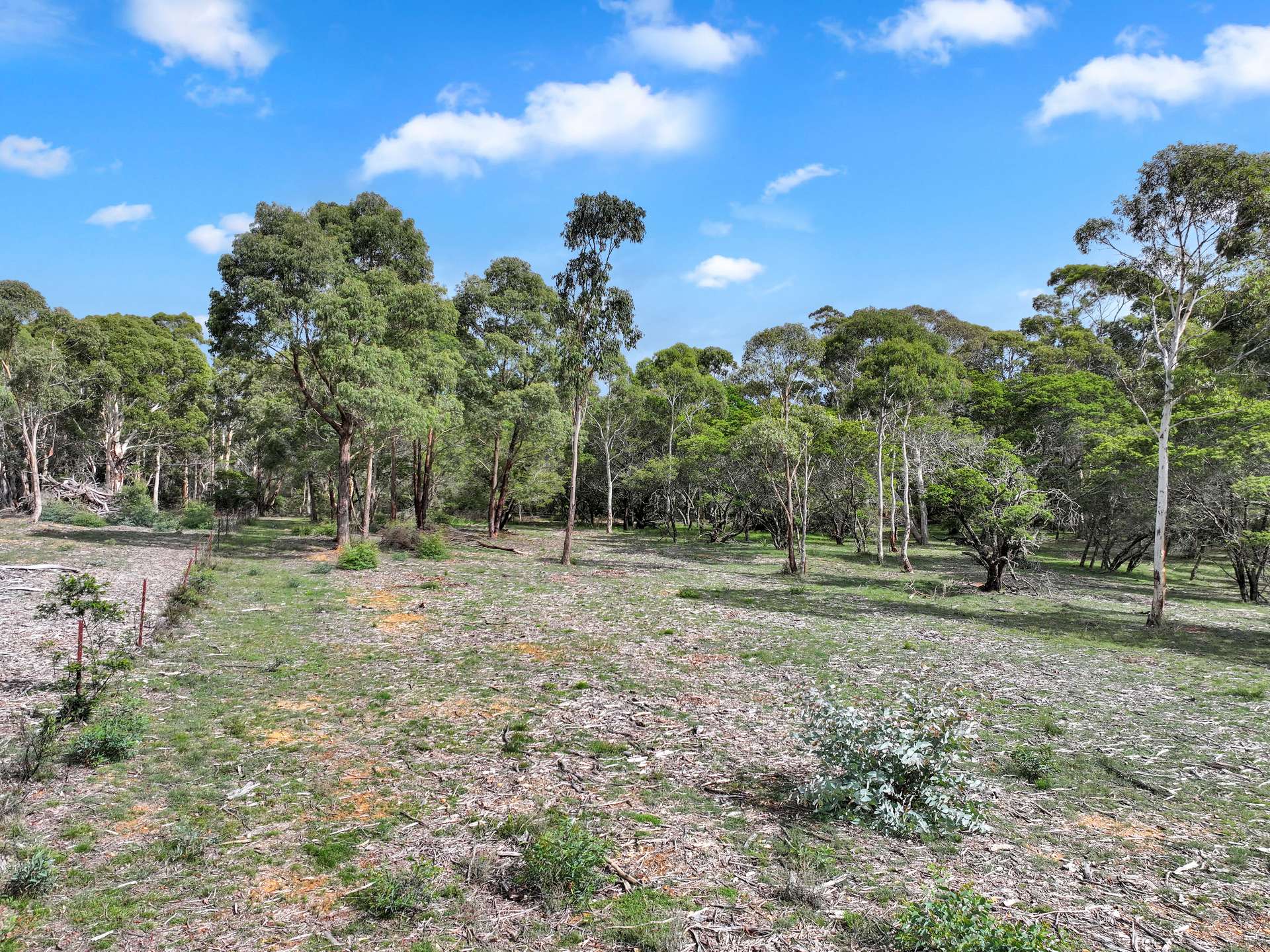 12 Half Moon Road, Braidwood Sold by Farmbuy.com - image 9
