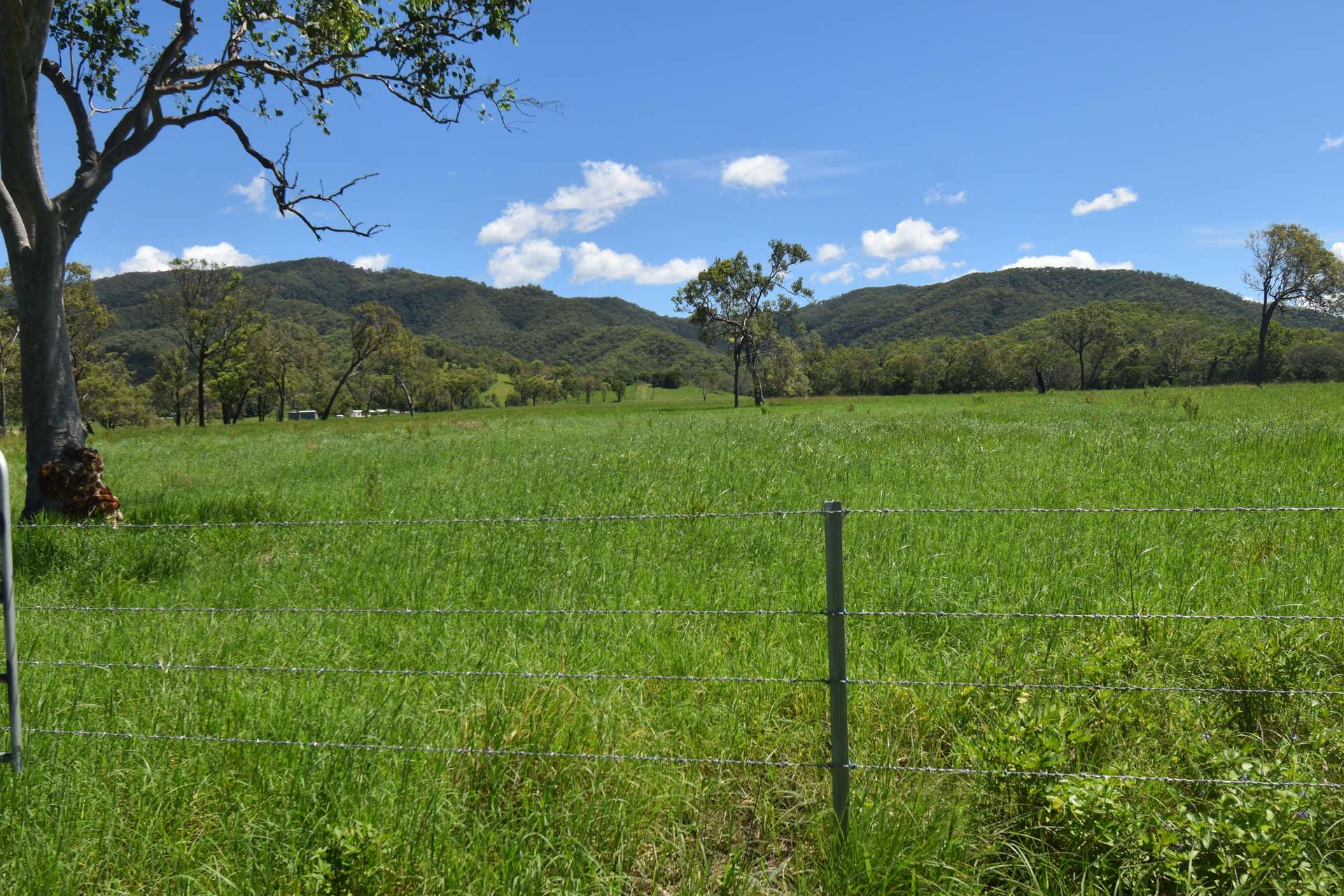 1863 Sarina Homebush Road, Oakenden For Sale by Farmbuy.com - image 10