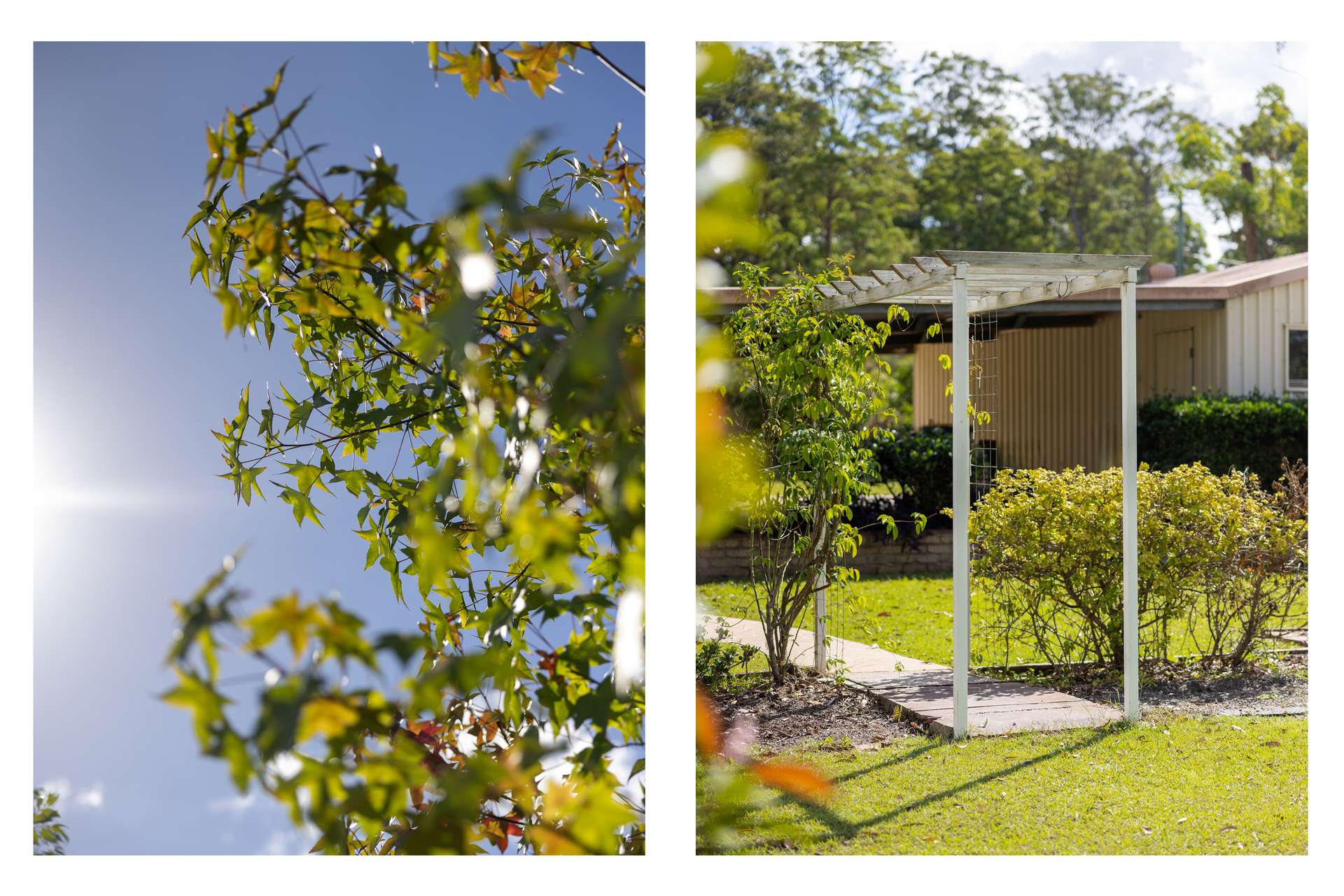60 Iluka Circuit, Taree Sold by Farmbuy.com - image 5