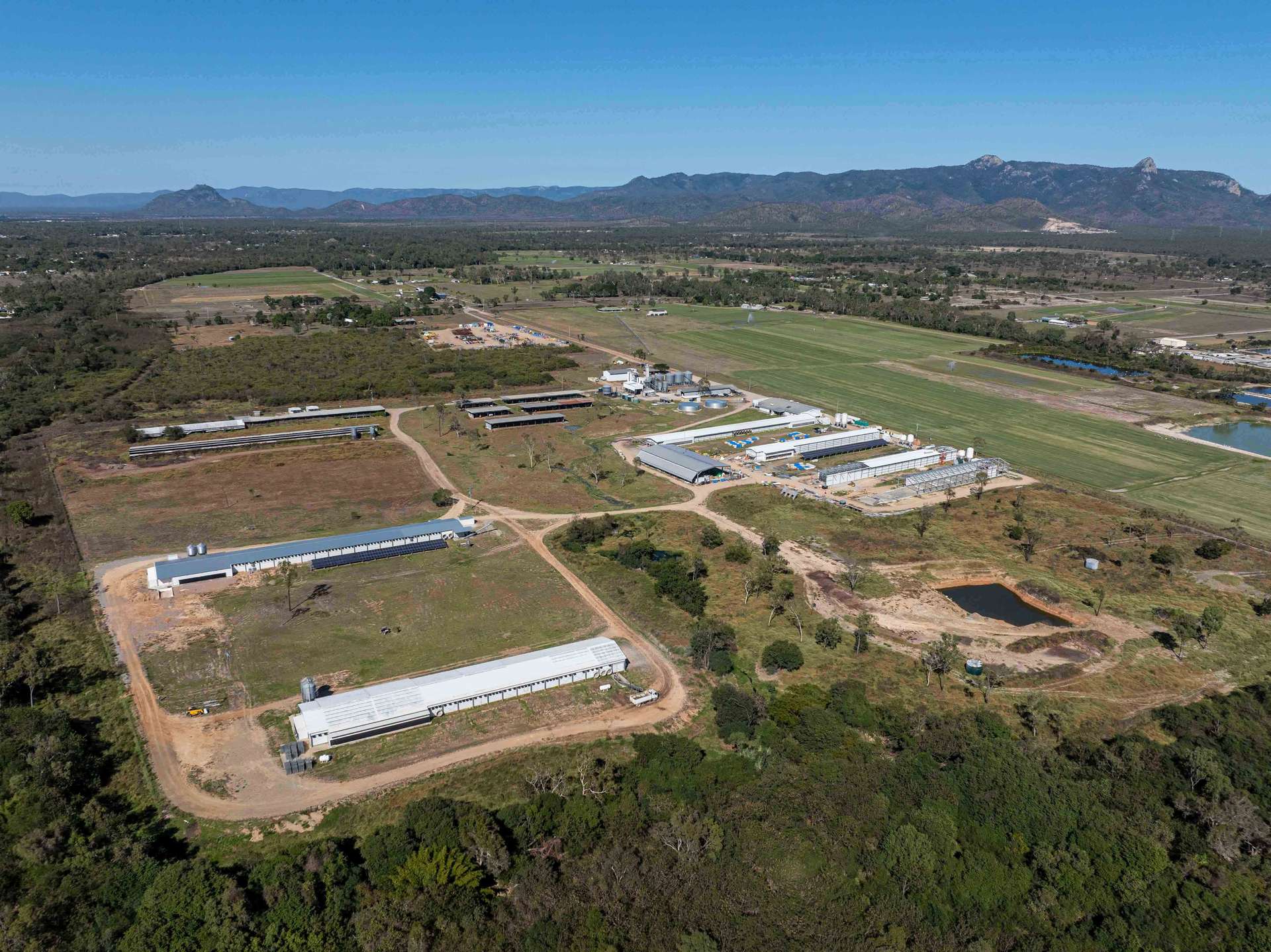 Gumlow For Sale by Farmbuy.com - image 3