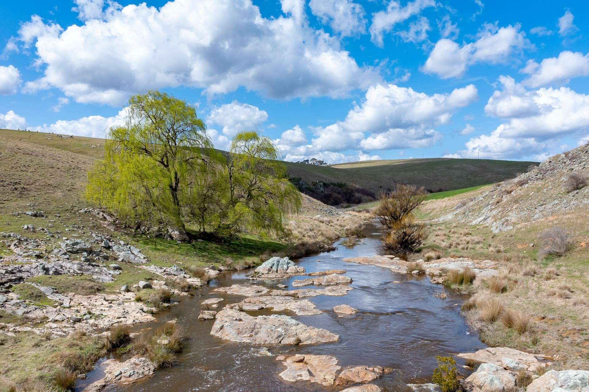 Lot 271, 1185 Golspie Road, Laggan For Sale by Farmbuy.com - image 3