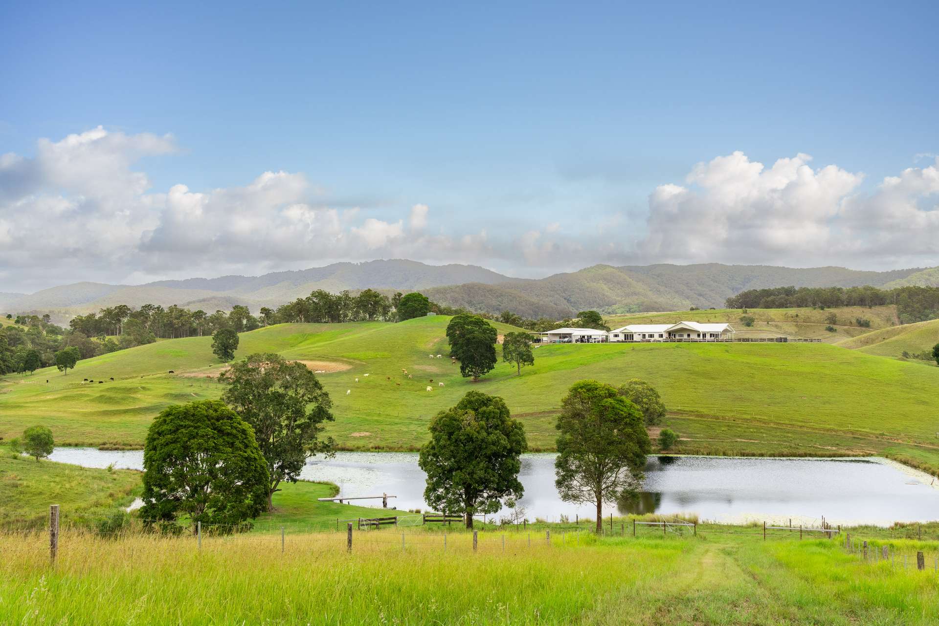 Laceys Creek For Sale by Farmbuy.com - image 4