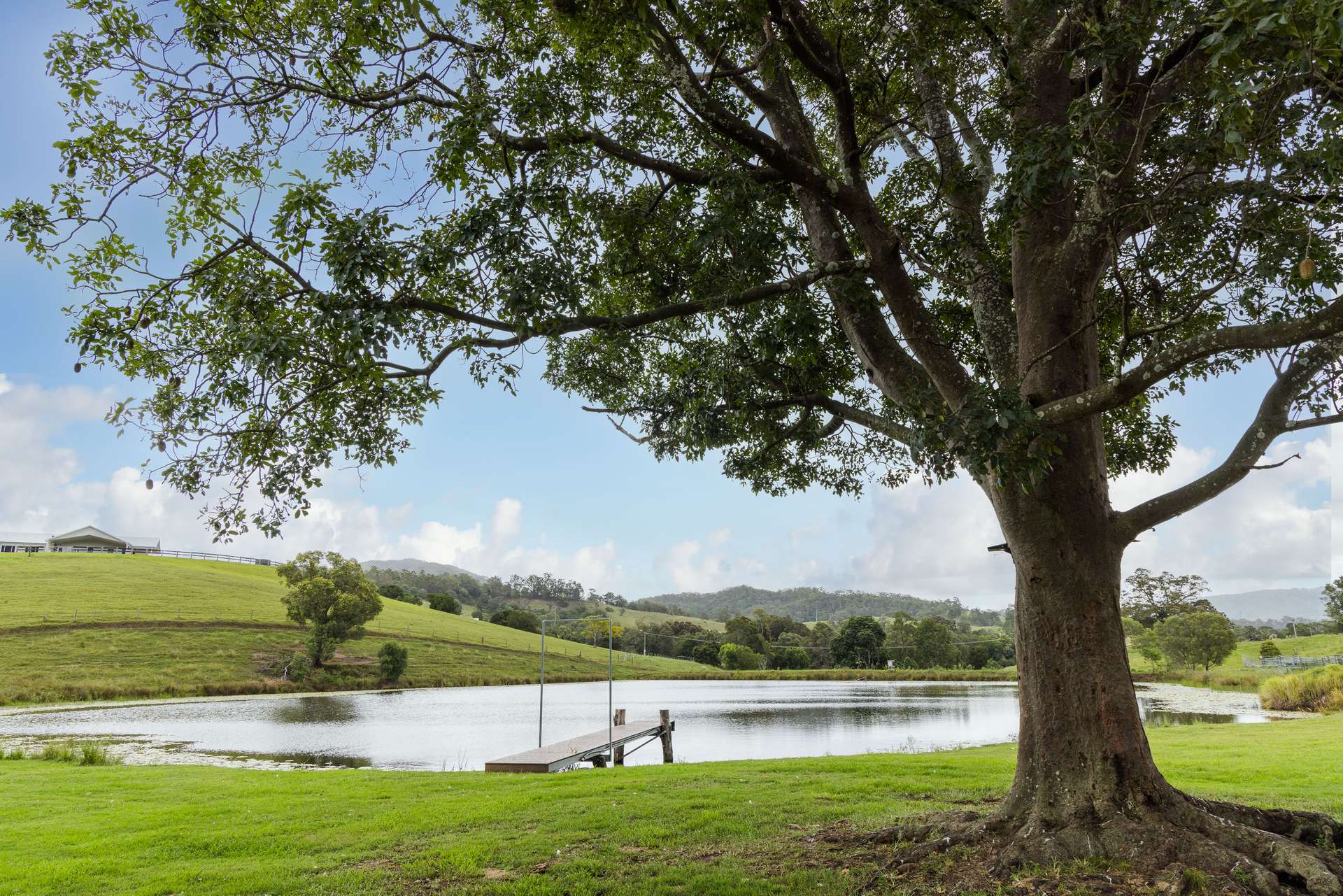 Laceys Creek For Sale by Farmbuy.com - image 3