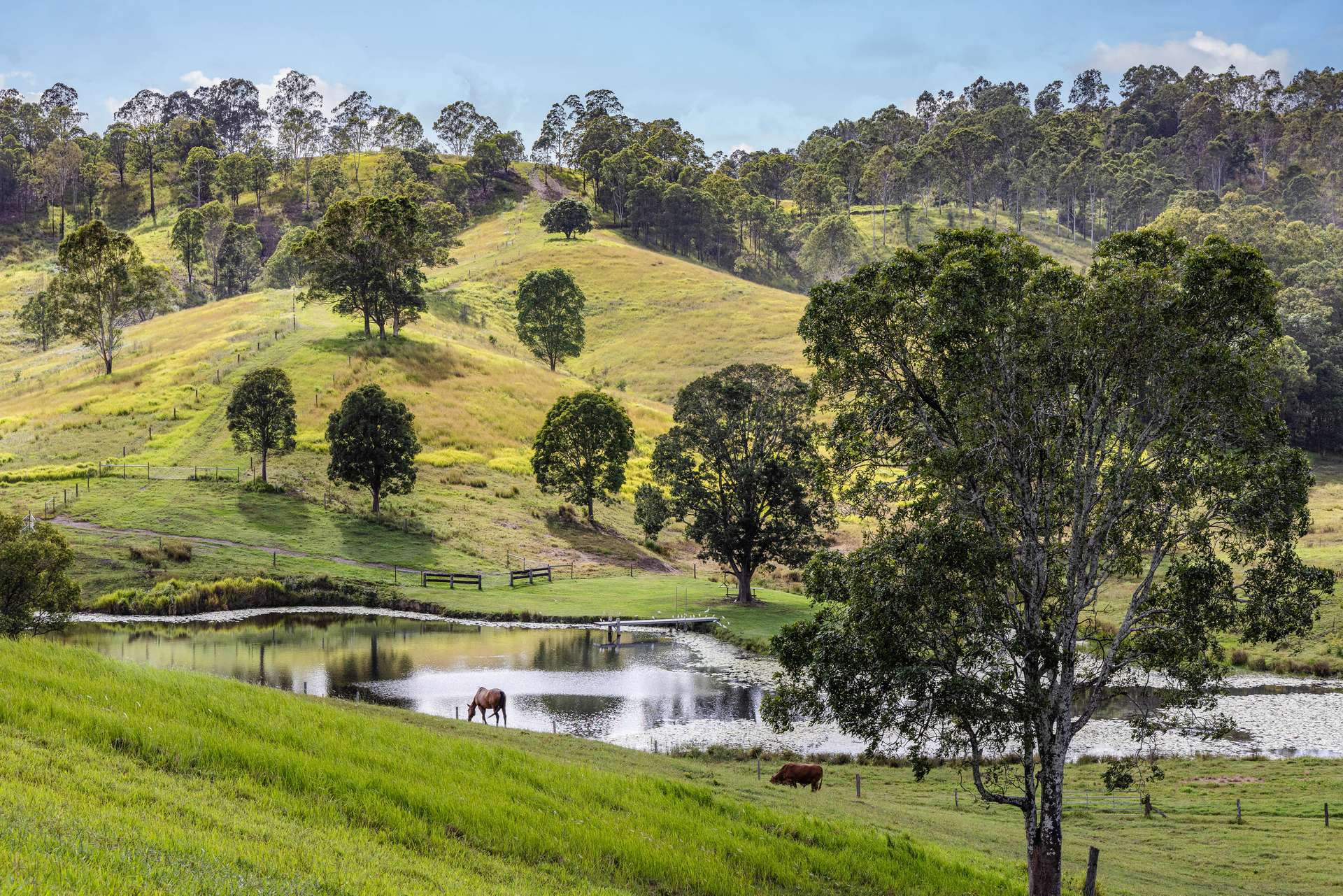 Laceys Creek For Sale by Farmbuy.com - image 20