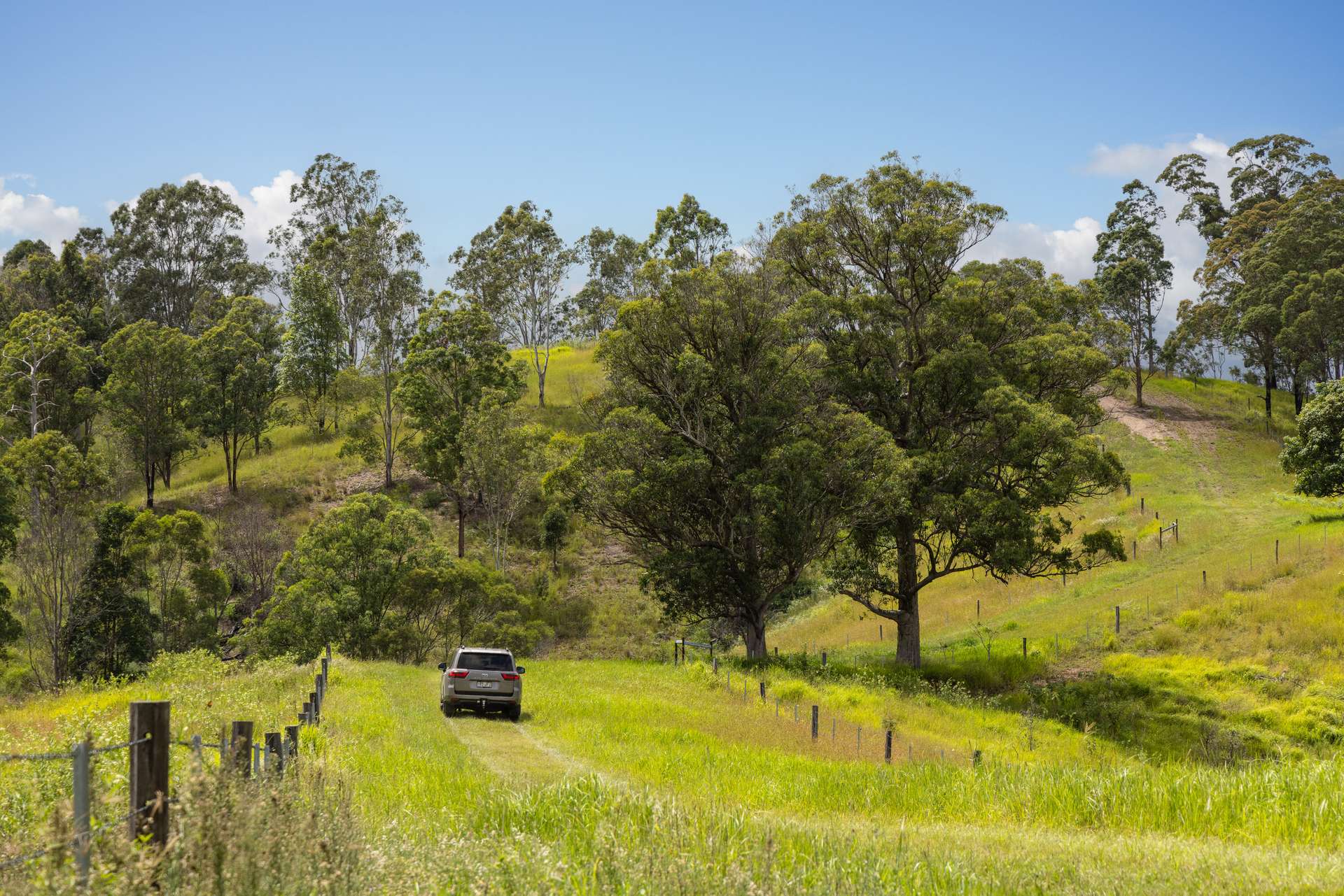 Laceys Creek For Sale by Farmbuy.com - image 18