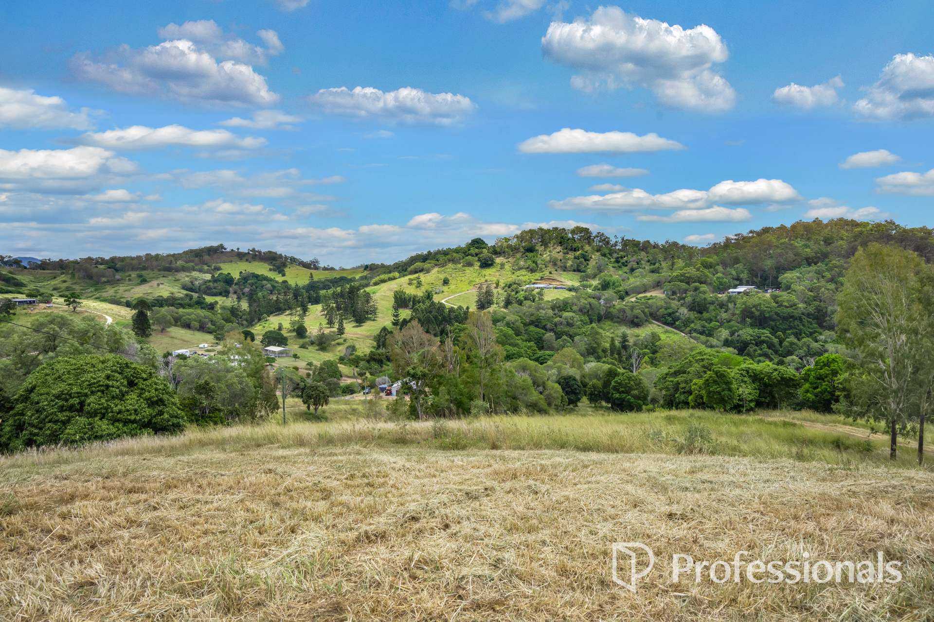 185 Scrubby Creek Road, Scrubby Creek For Sale by Farmbuy.com - image 3