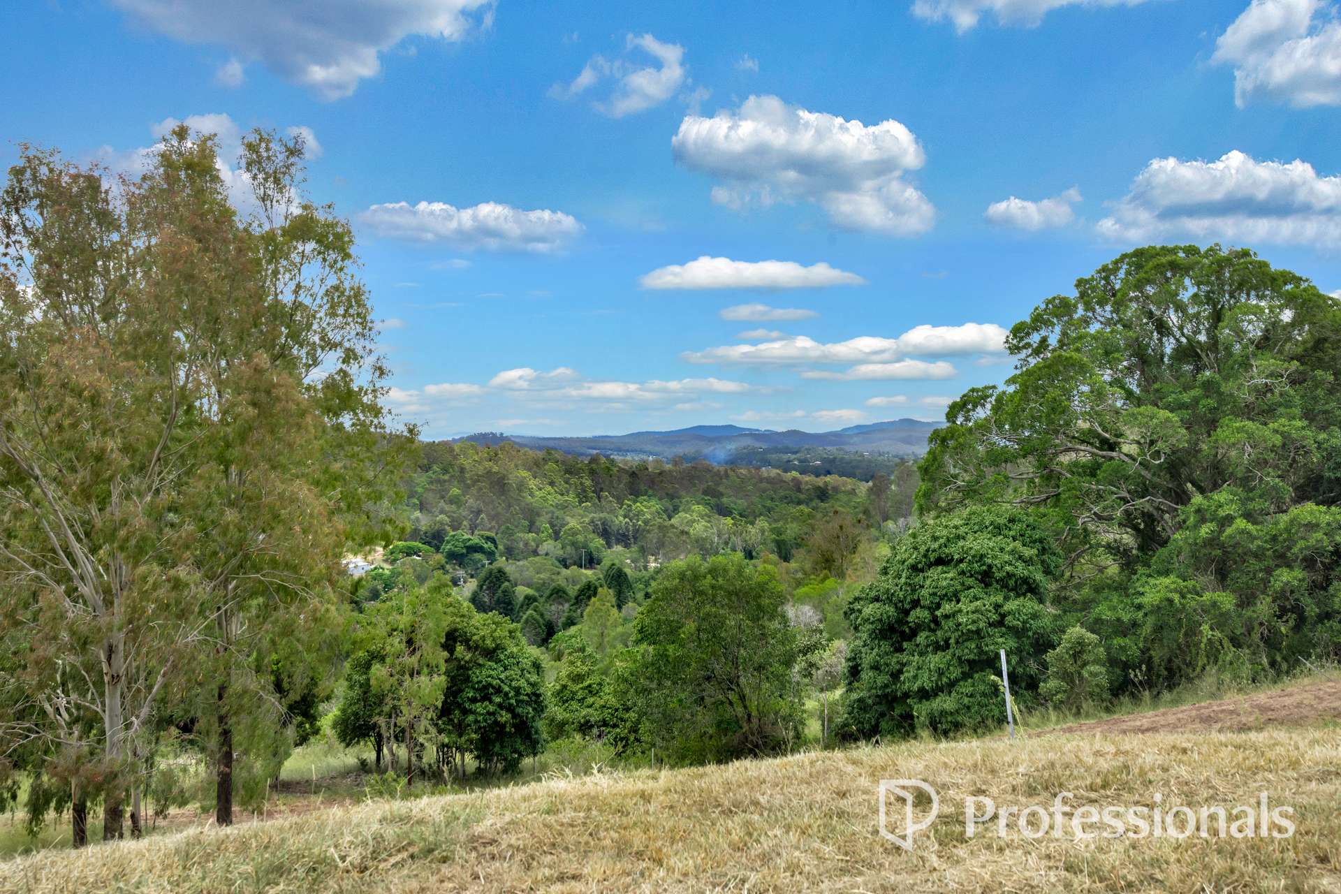 185 Scrubby Creek Road, Scrubby Creek For Sale by Farmbuy.com - image 18