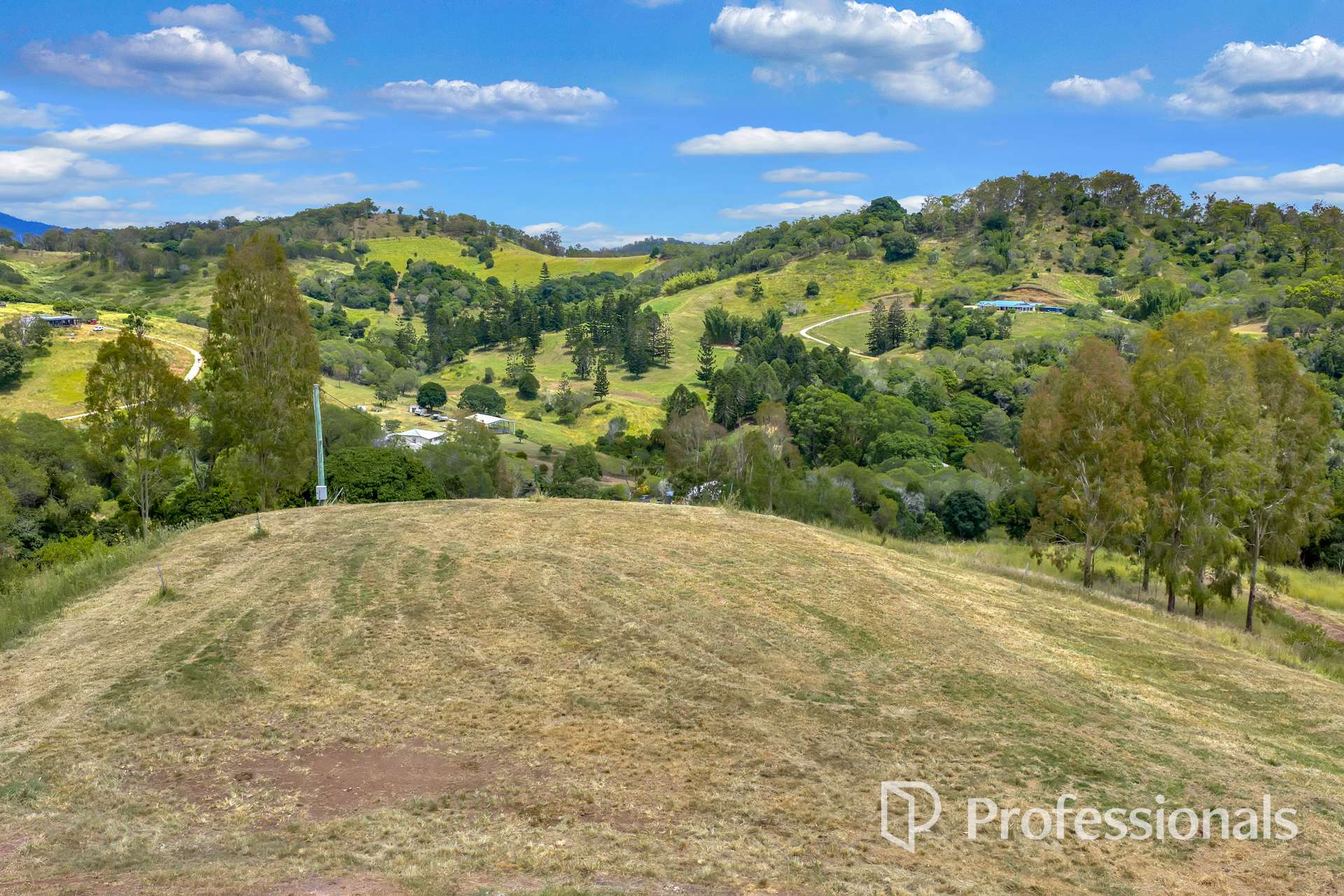 185 Scrubby Creek Road, Scrubby Creek For Sale by Farmbuy.com - image 5