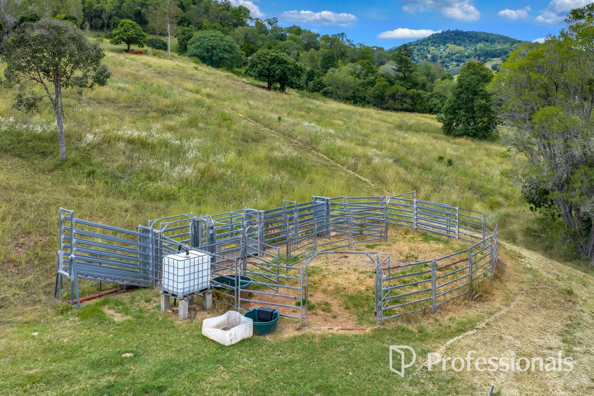 185 Scrubby Creek Road, Scrubby Creek For Sale by Farmbuy.com - image 9