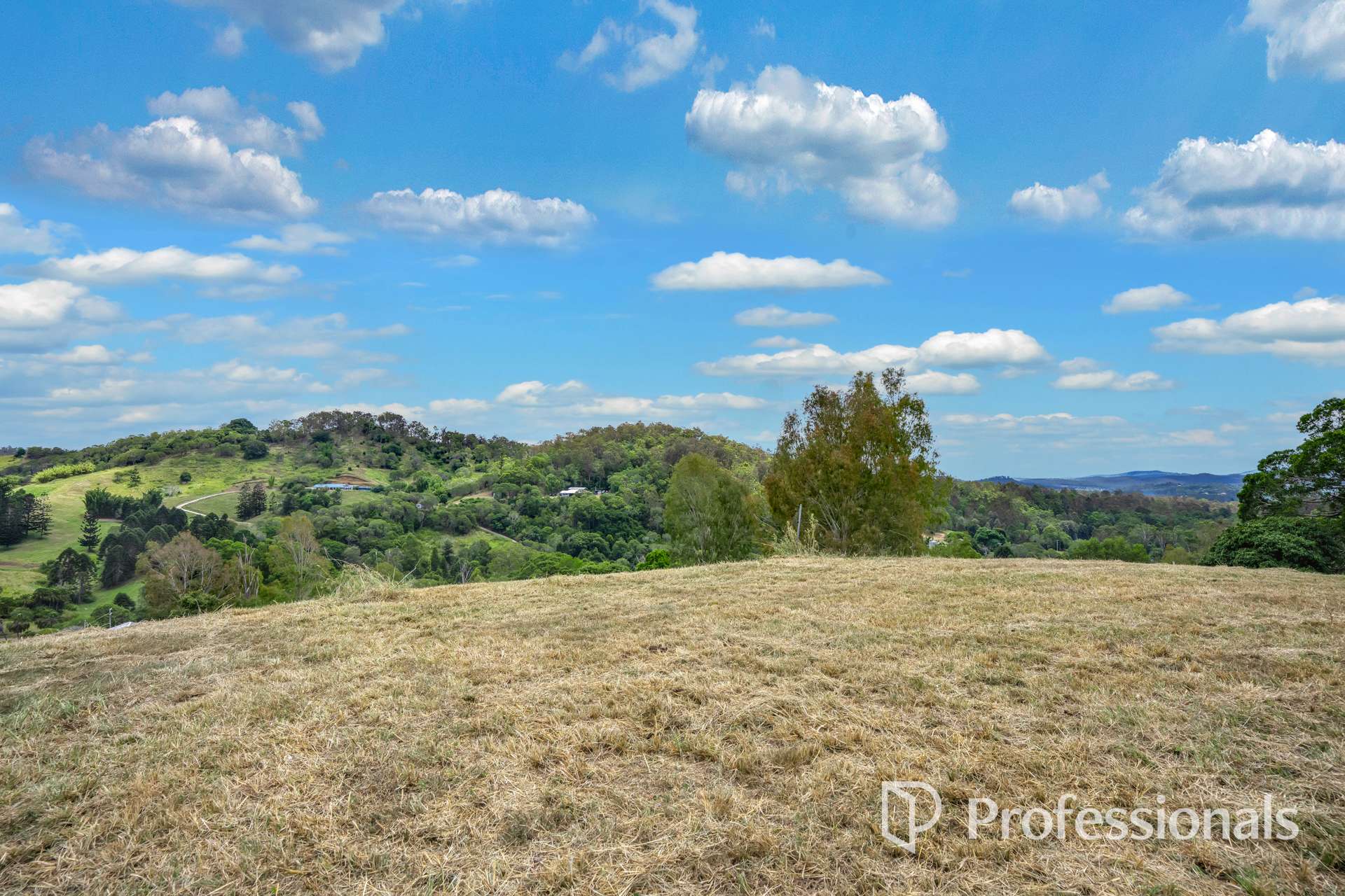 185 Scrubby Creek Road, Scrubby Creek For Sale by Farmbuy.com - image 17