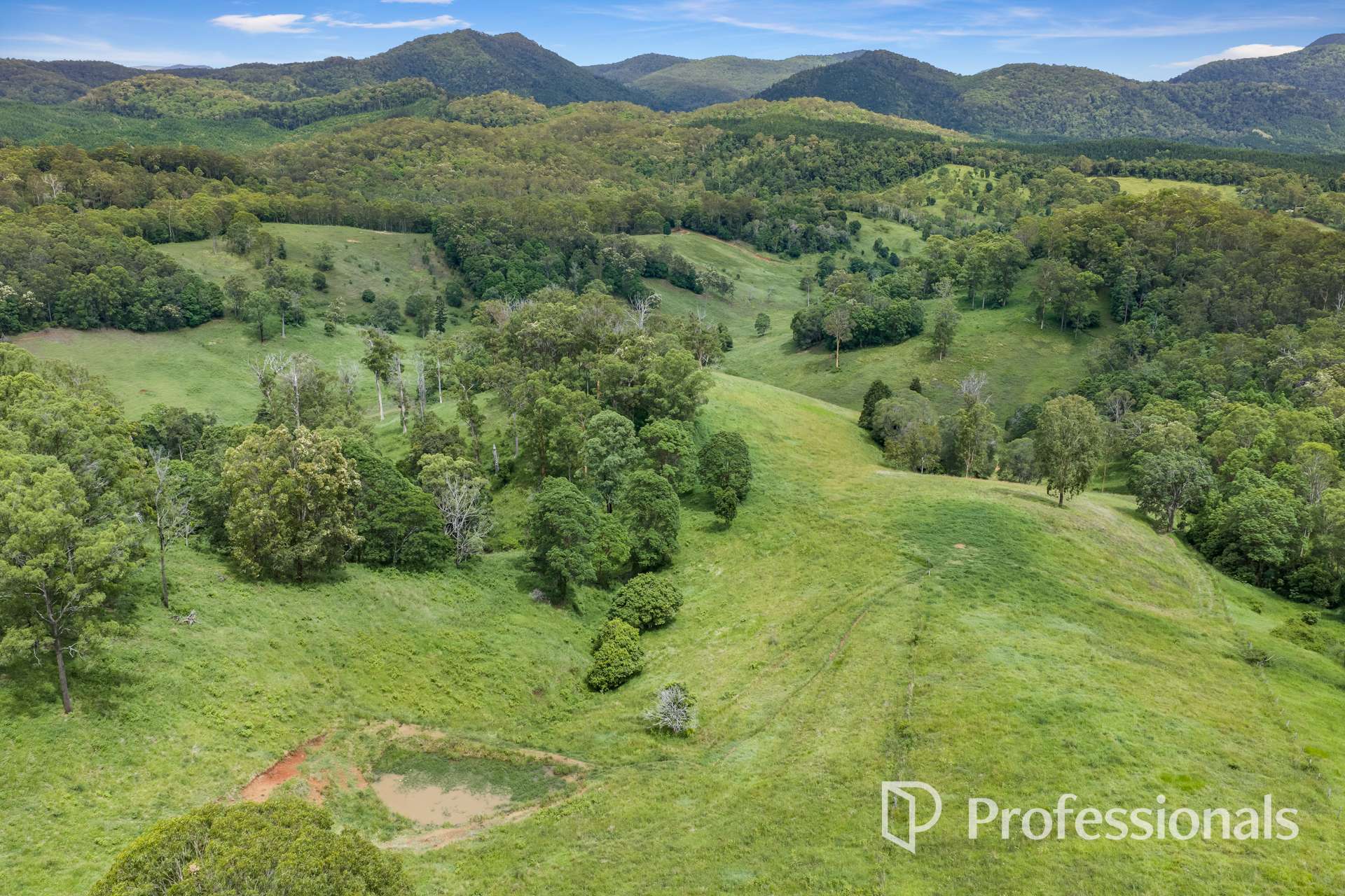 213 Upper Eel Creek Road, Langshaw For Sale by Farmbuy.com - image 7