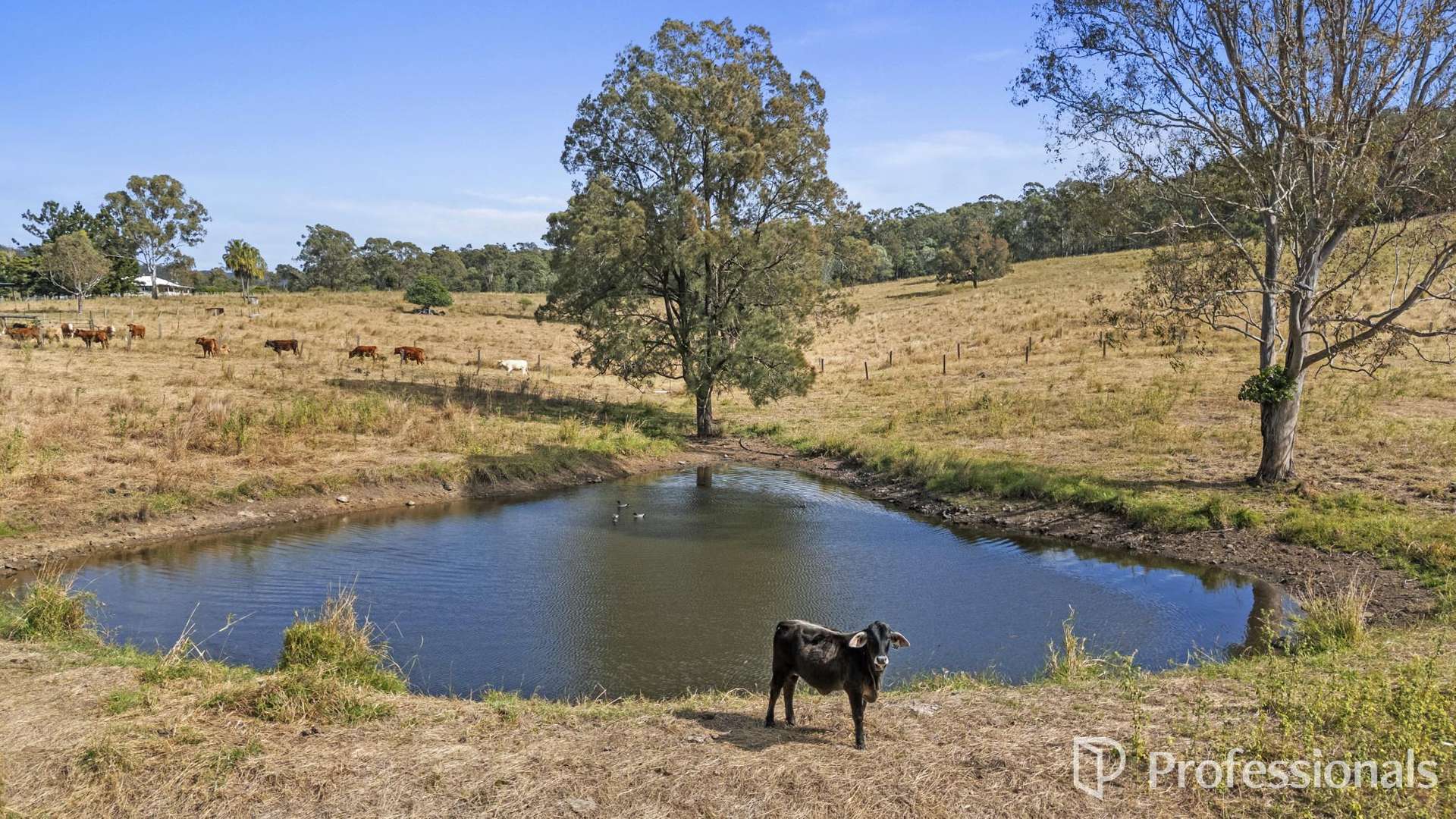 260 Thornside Road, Widgee For Sale by Farmbuy.com - image 23
