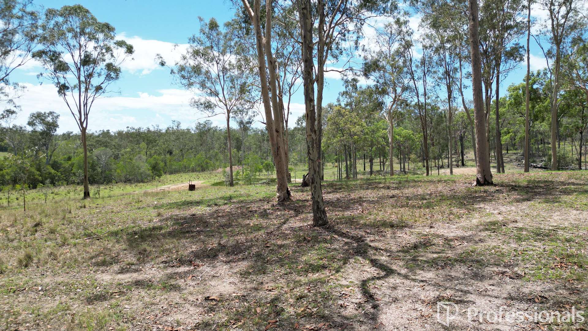 Lot 1,  Old Gympie Road, Owanyilla For Sale by Farmbuy.com - image 9