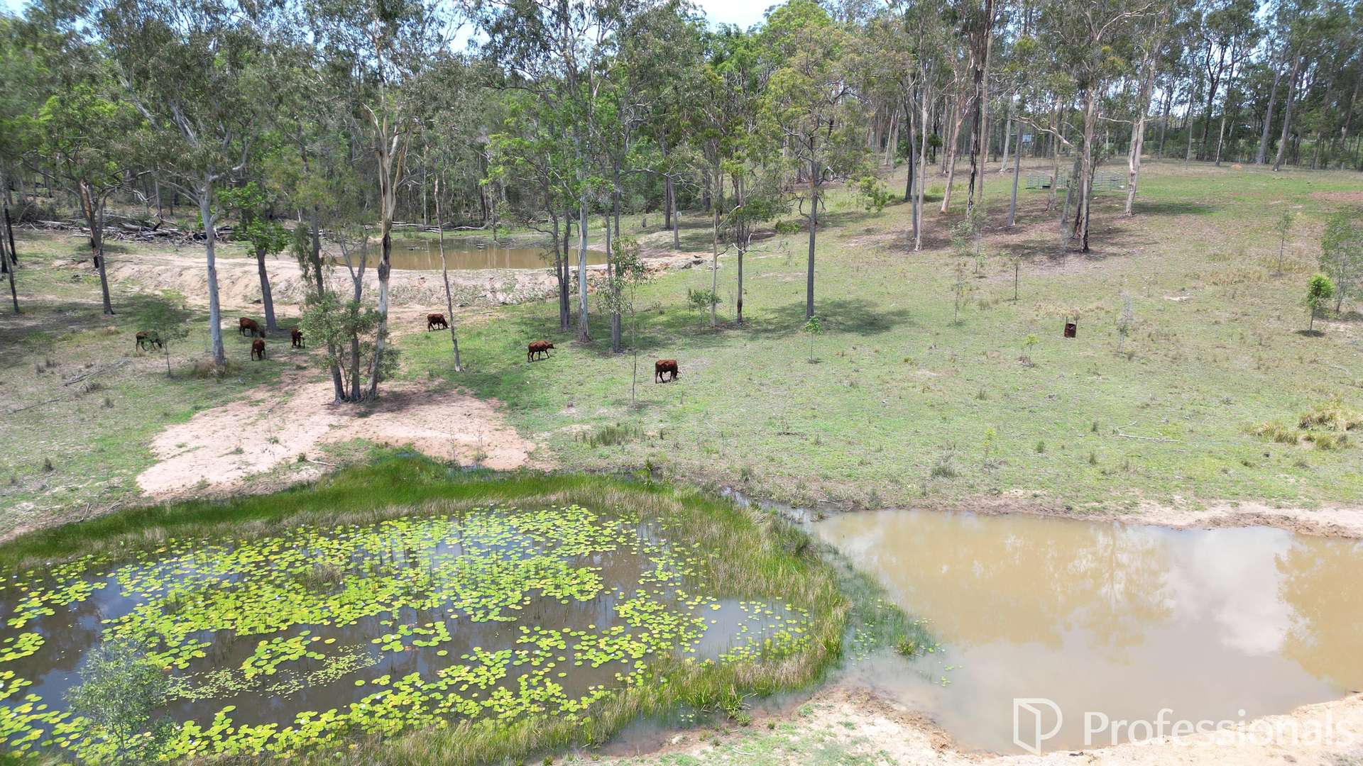 Lot 1,  Old Gympie Road, Owanyilla For Sale by Farmbuy.com - image 2