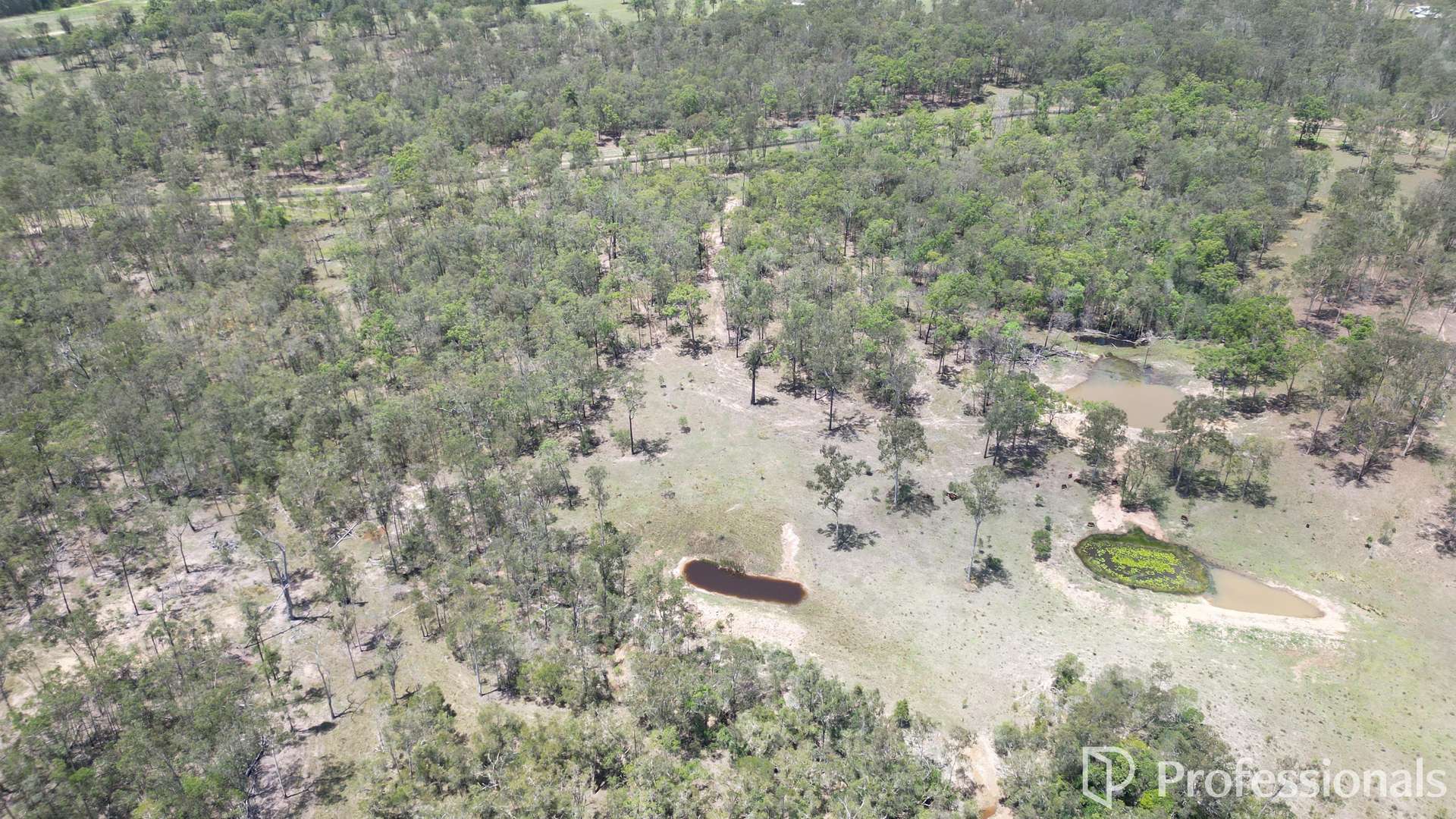 Lot 1,  Old Gympie Road, Owanyilla For Sale by Farmbuy.com - image 7