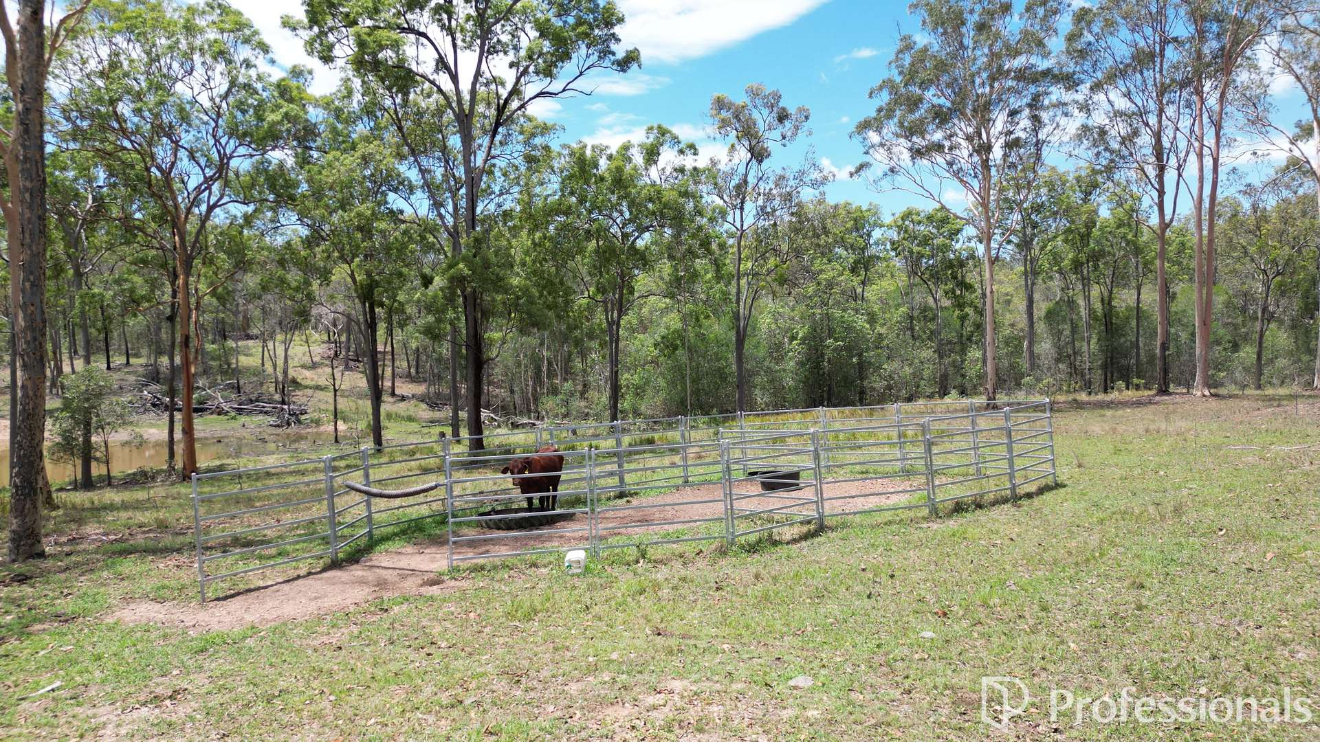 Lot 1,  Old Gympie Road, Owanyilla For Sale by Farmbuy.com - image 11