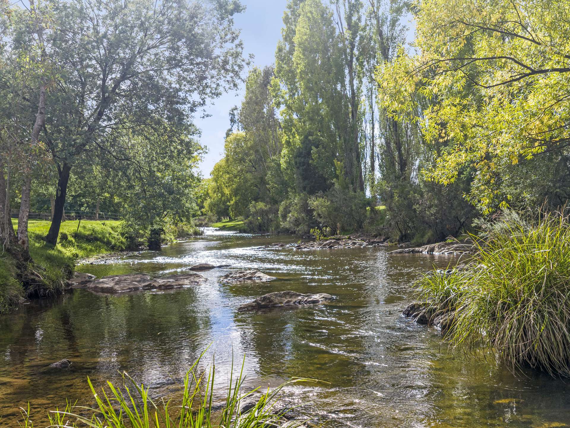 443 Howes Creek-Goughs Bay Road, Goughs Bay For Sale by Farmbuy.com - image 21