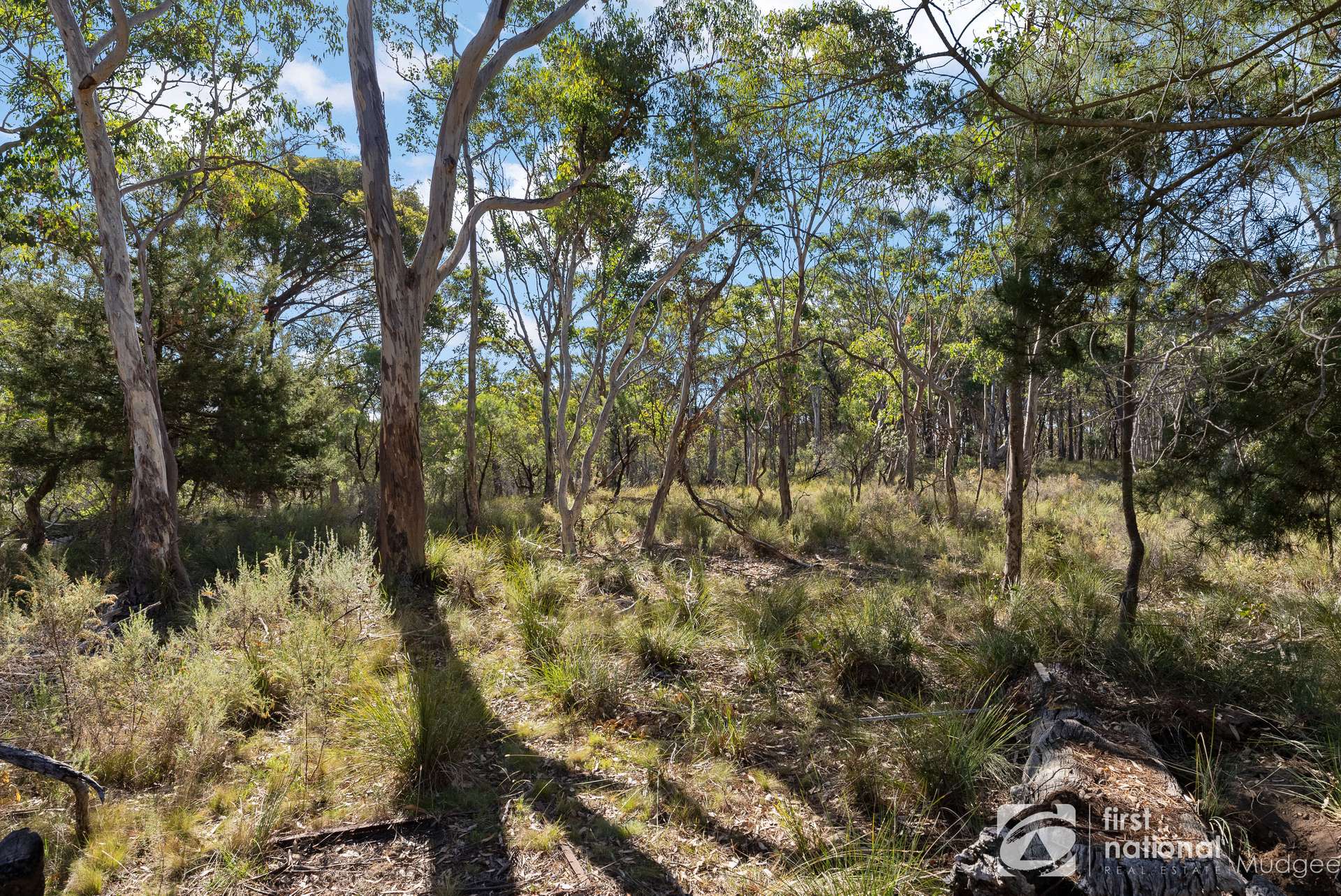 114 Nangawooka Road, Mudgee Sold by Farmbuy.com - image 3