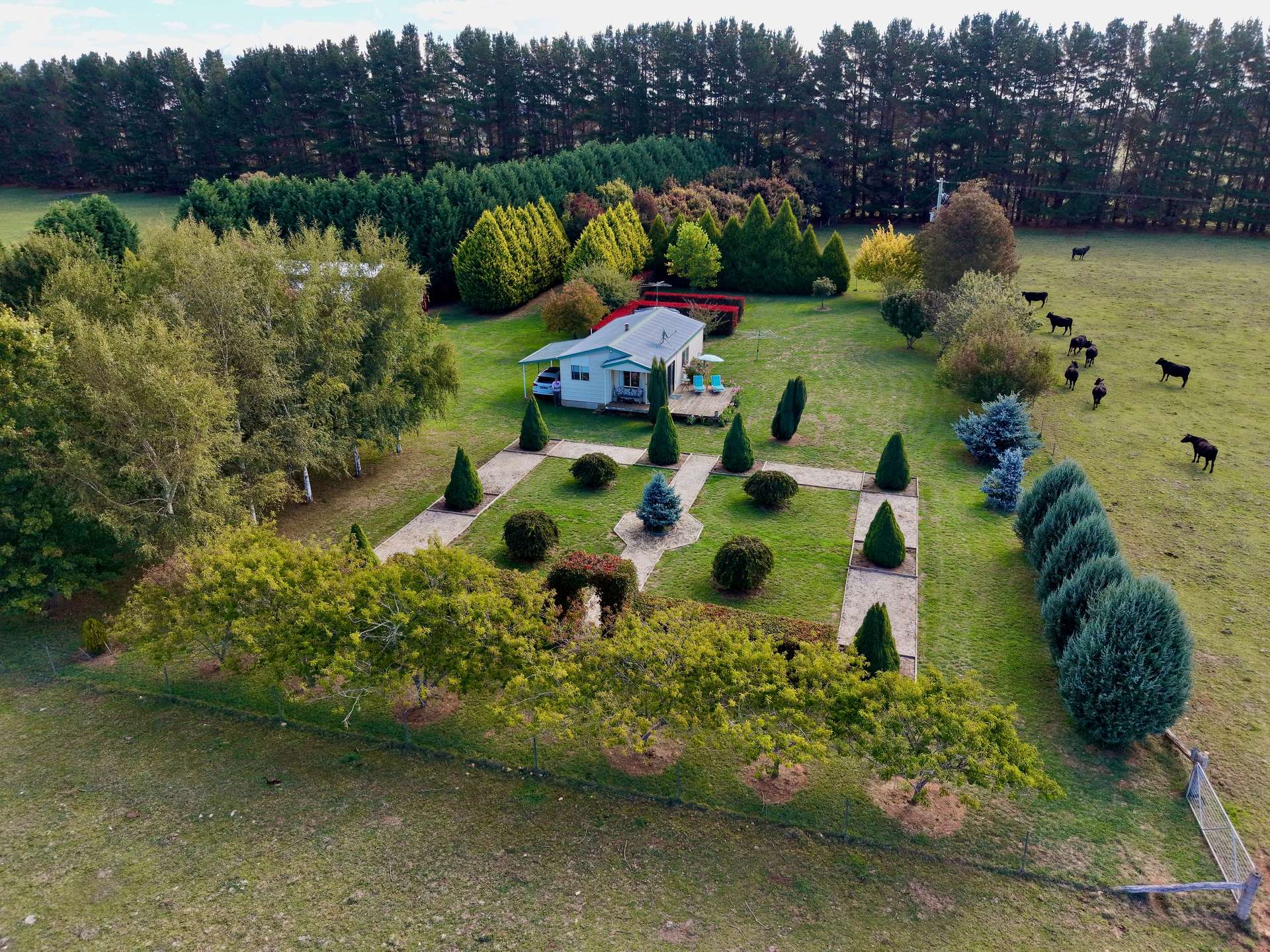 383 Mozart Road, Mozart For Sale by Farmbuy.com - image 17