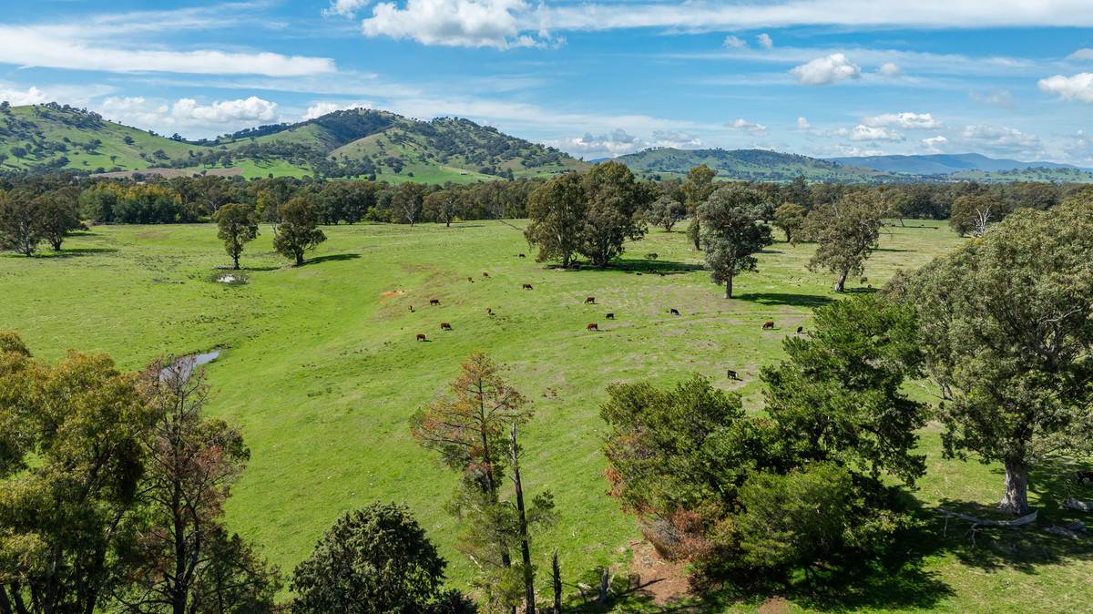 1007 & 1007A Kiewa Valley Highway, Staghorn Flat Sold by Farmbuy.com - image 24