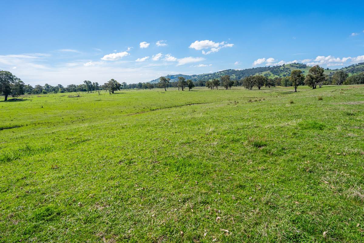 1007 & 1007A Kiewa Valley Highway, Staghorn Flat Sold by Farmbuy.com - image 15