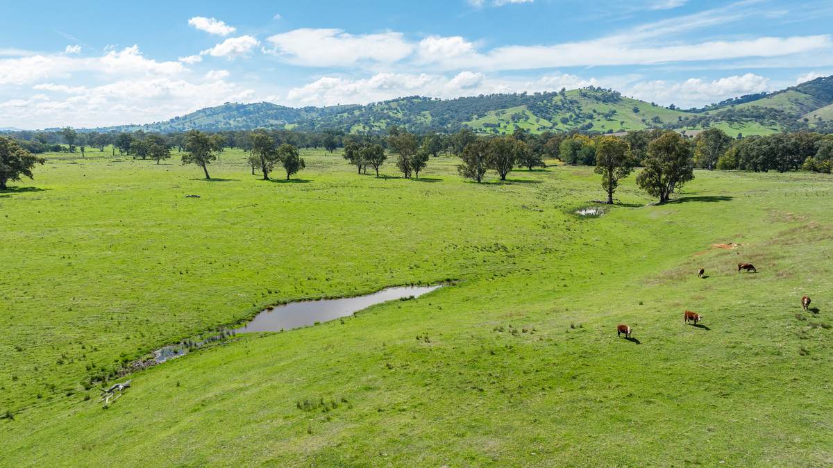 1007 & 1007A Kiewa Valley Highway, Staghorn Flat Sold by Farmbuy.com - image 10