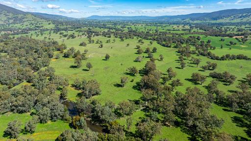 Farm Sold - VIC - Staghorn Flat - 3691 - 