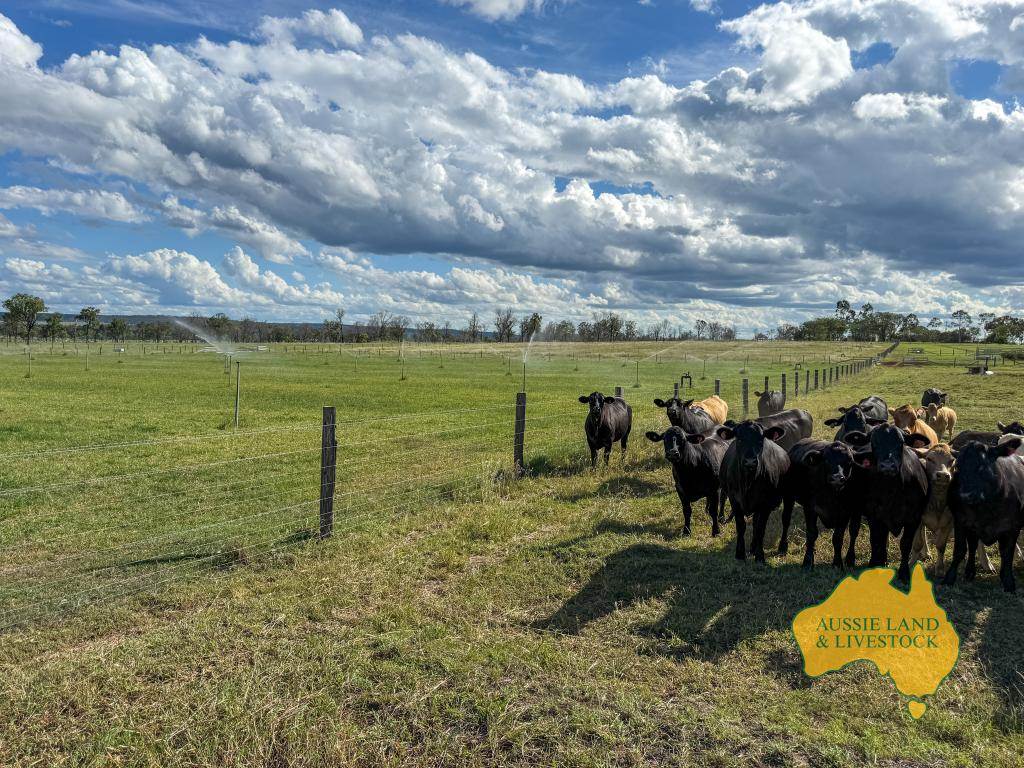 854 MUNDUBBERA-DURONG ROAD, Boynewood For Sale by Farmbuy.com - image 3
