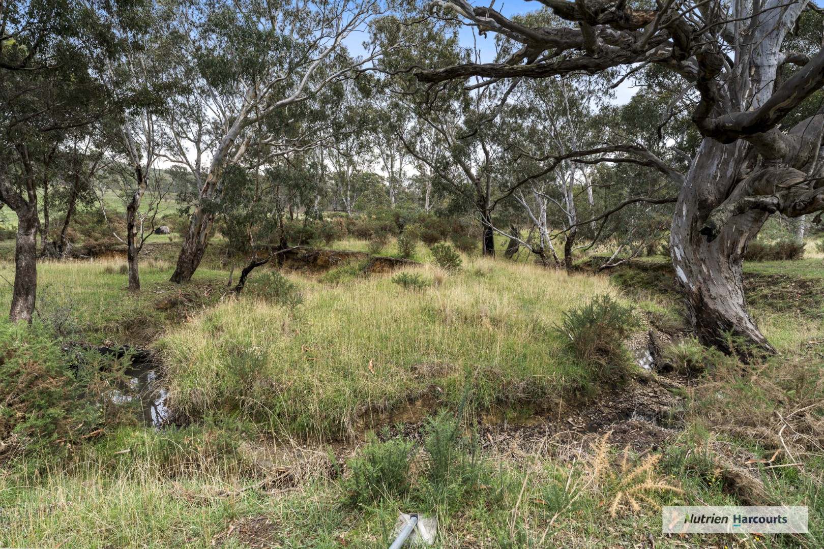 580 The Bridle Track, Glenaroua Sold by Farmbuy.com - image 14