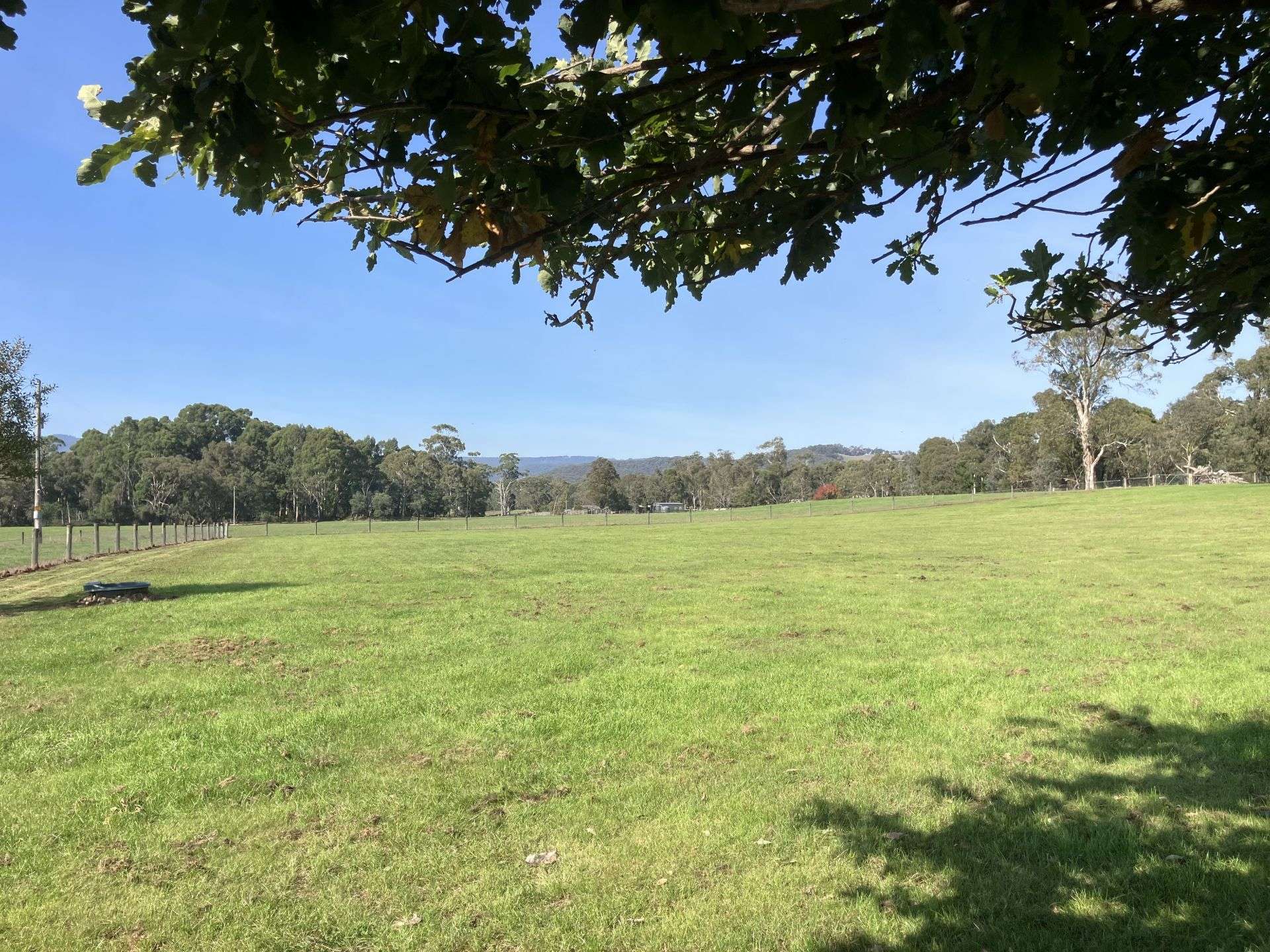 53 Burns Road, Glenburn For Sale by Farmbuy.com - image 24