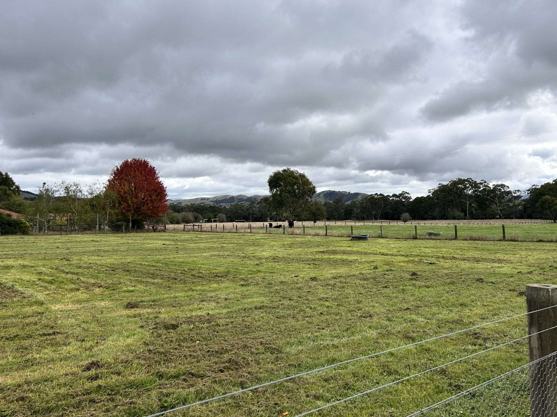 53 Burns Road, Glenburn For Sale by Farmbuy.com - image 11